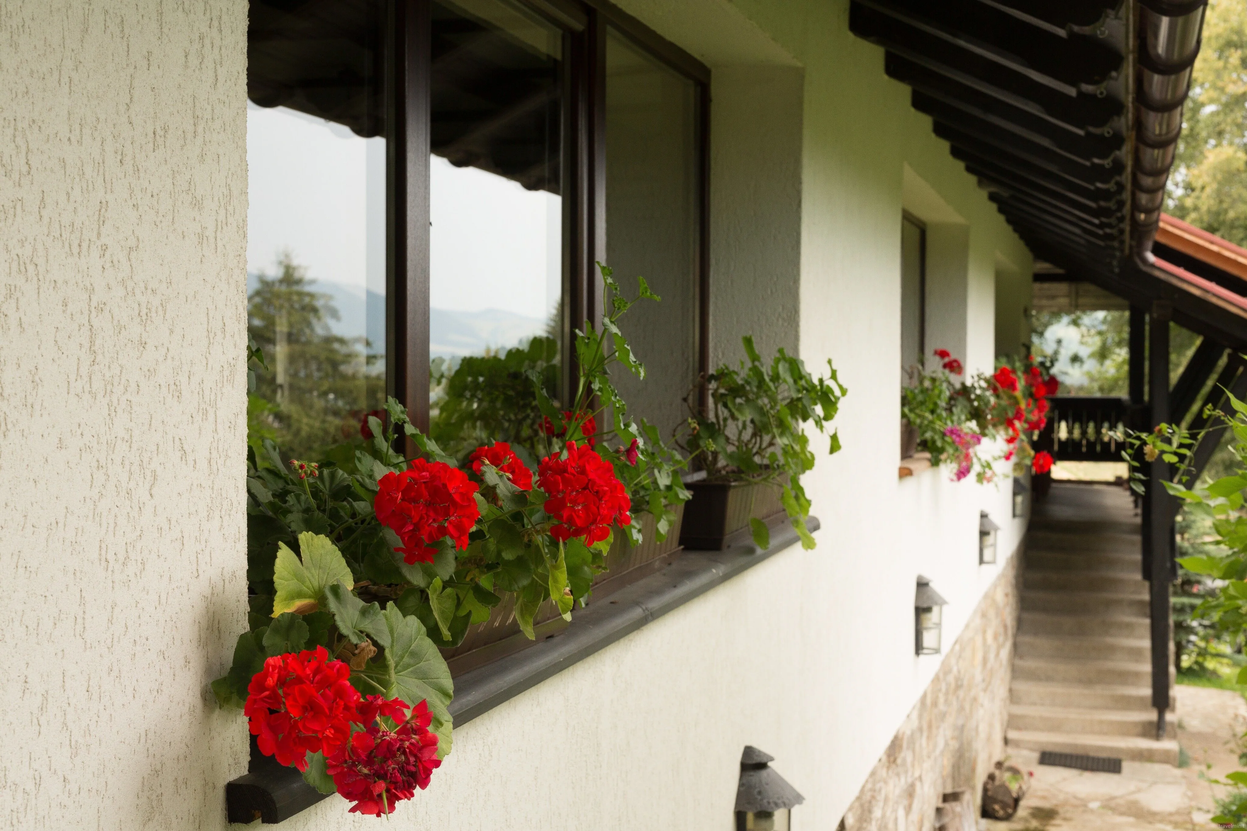 Cabana Ionela Vama – Vama, România