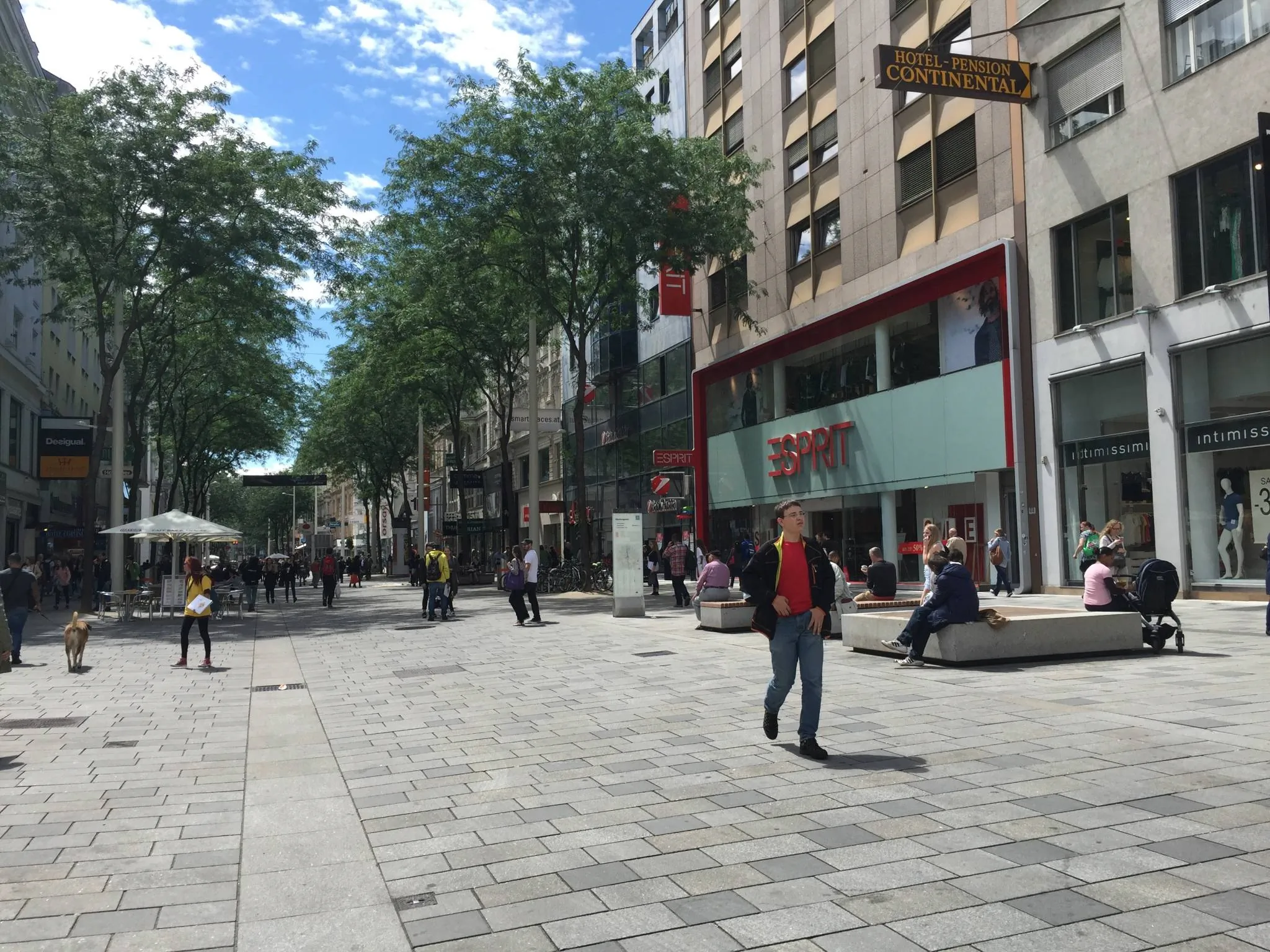 Hotel-Pension Continental Wien – Viena, Austria
