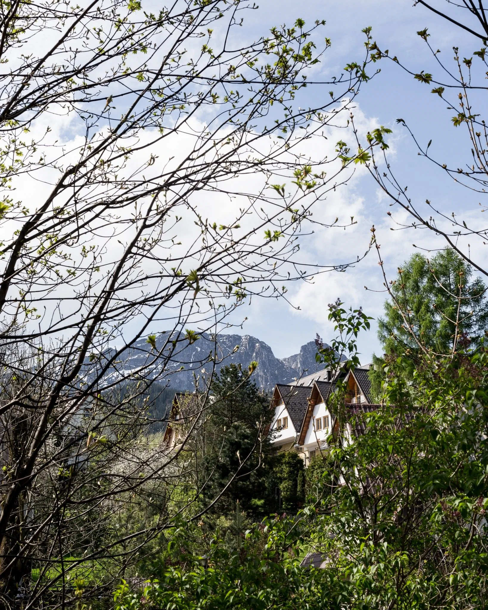 Pensjonat Szarotka Zakopane - foto 10