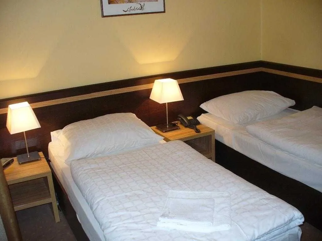Hotel Čierny Orol Rožňava - foto 8
