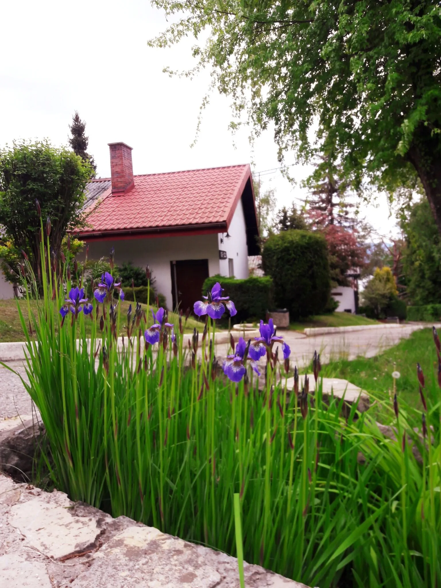 Centrum Wypoczynku Odys Tresna – Żywiec, Polonia