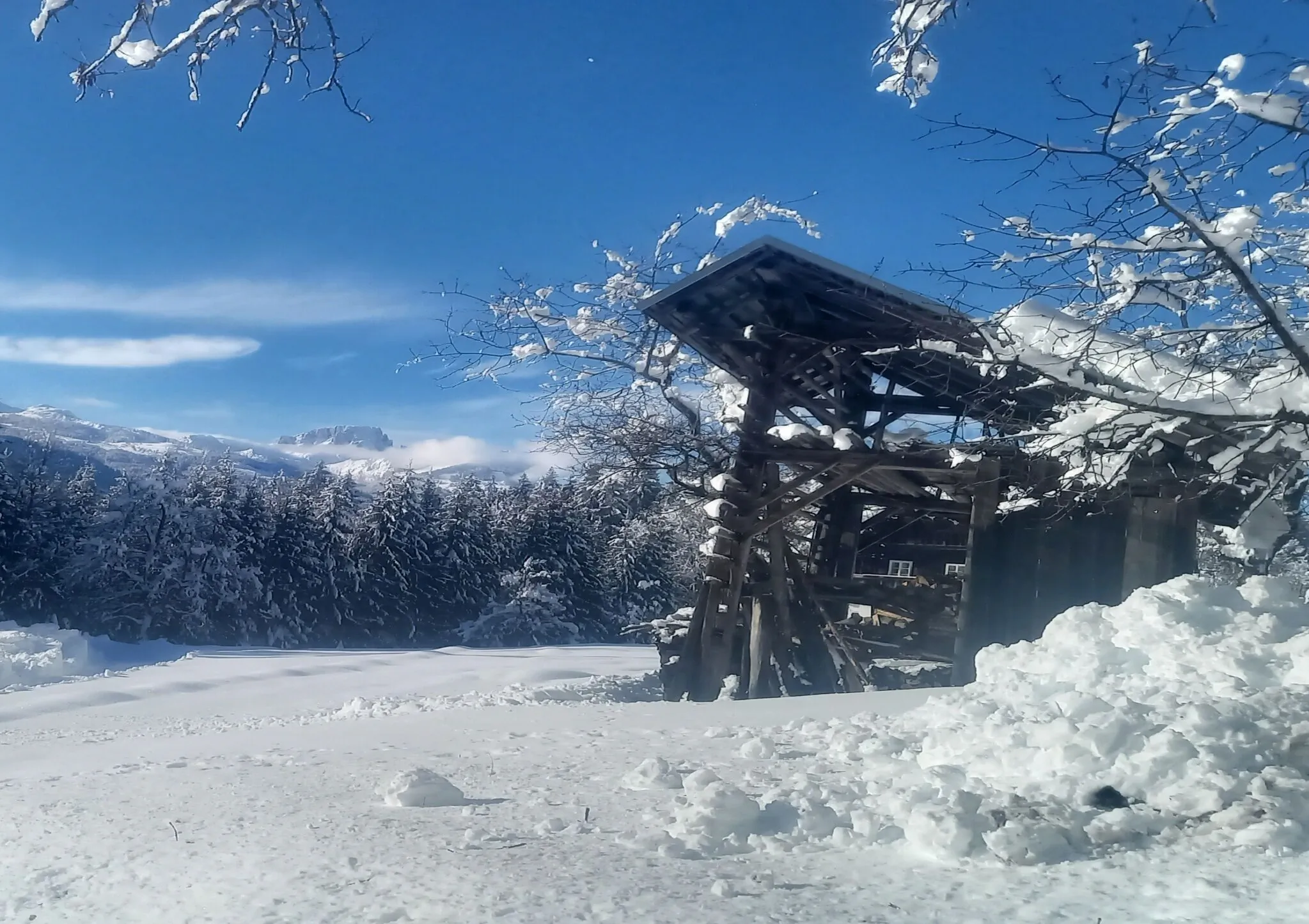 Ferienhaus Waldhof Hermagor-Pressegger See – Hermagor-Pressegger See, Austria