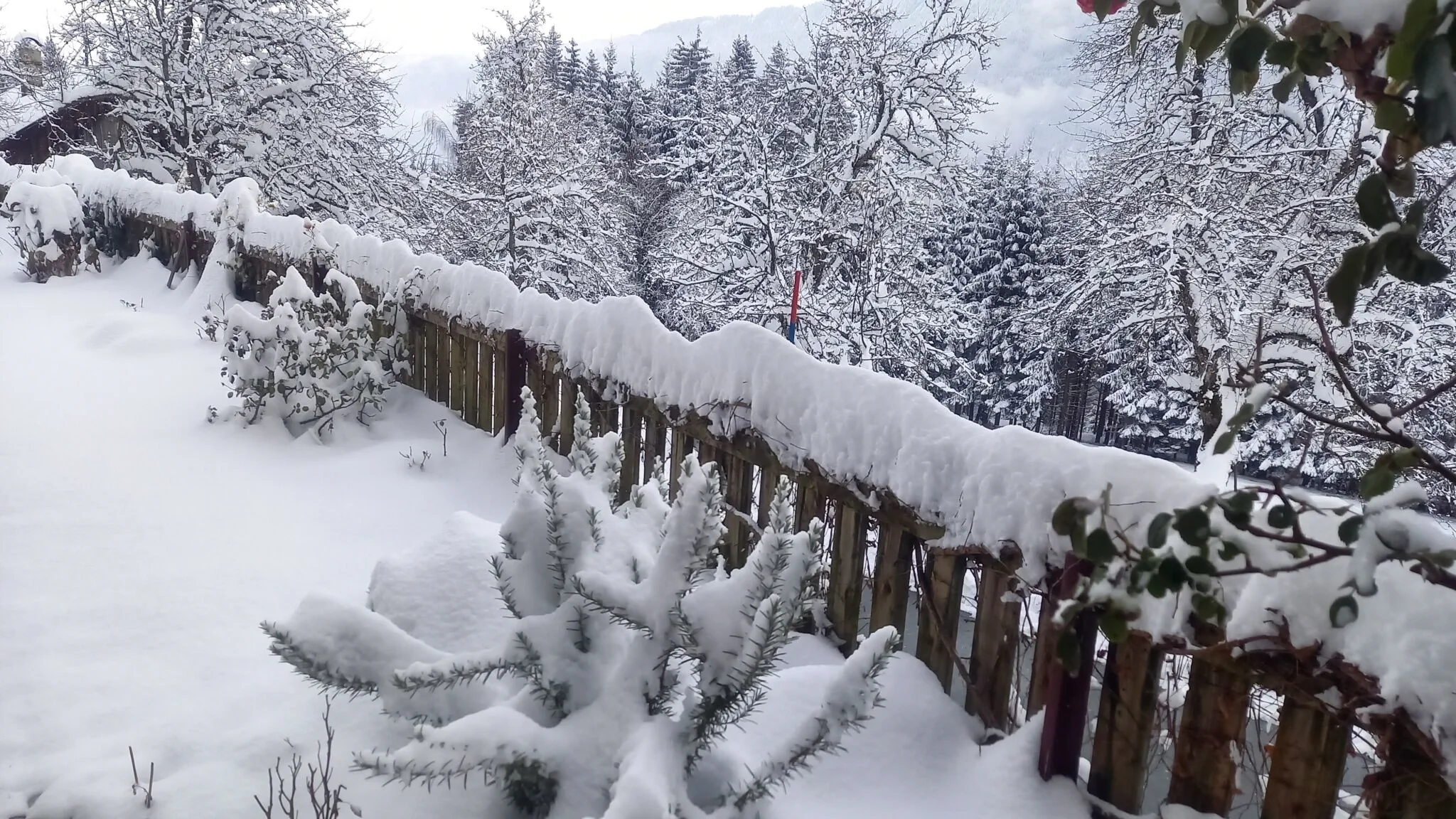 Ferienhaus Waldhof Hermagor-Pressegger See – Hermagor-Pressegger See, Austria
