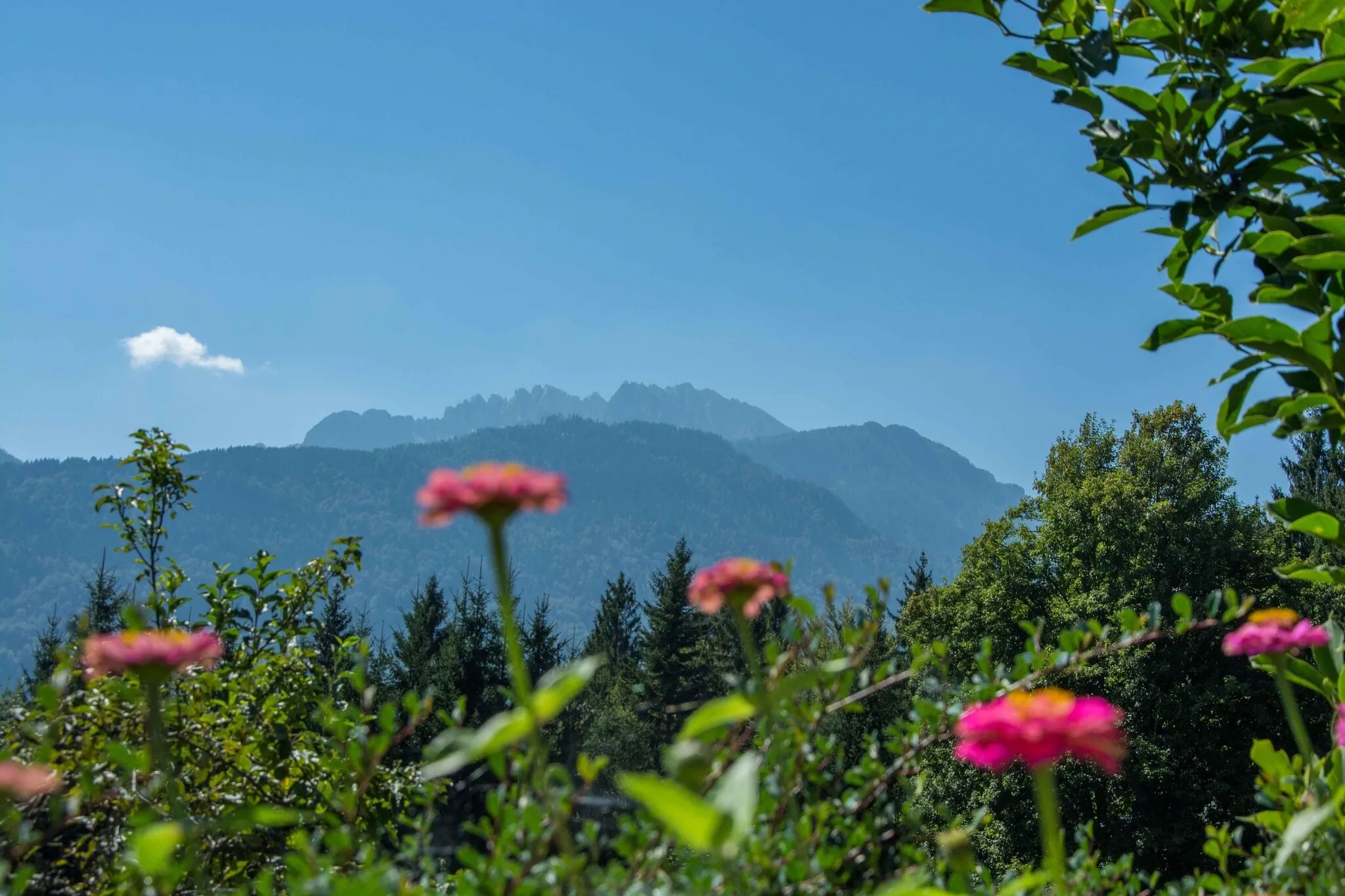 Ferienhaus Waldhof Hermagor-Pressegger See – Hermagor-Pressegger See, Austria