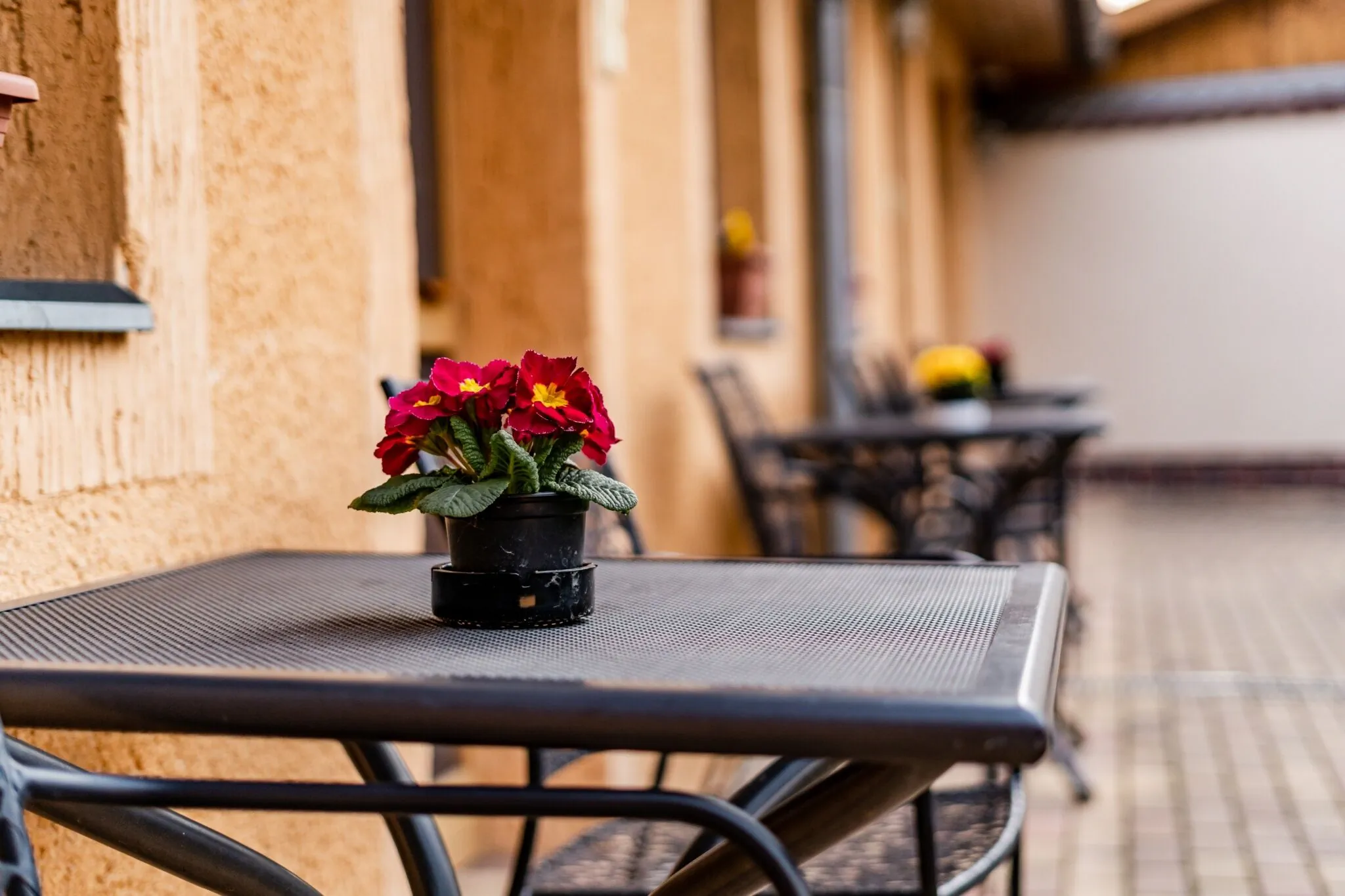 Estike Apartman Gyula – Gyula, Maďarsko