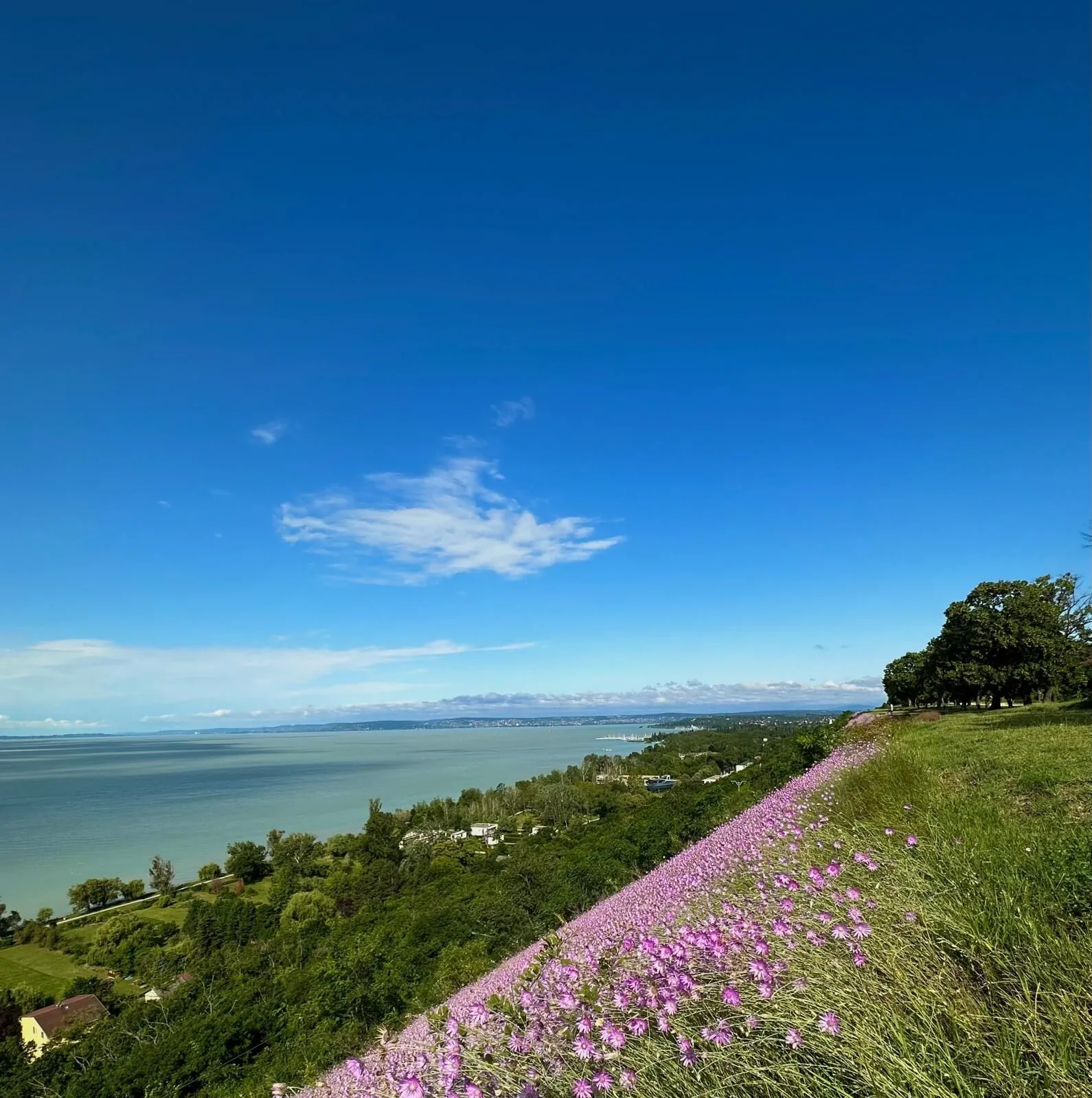 Family Vacation Guesthouse Balatonkenese – Balatonkenese, Ungaria