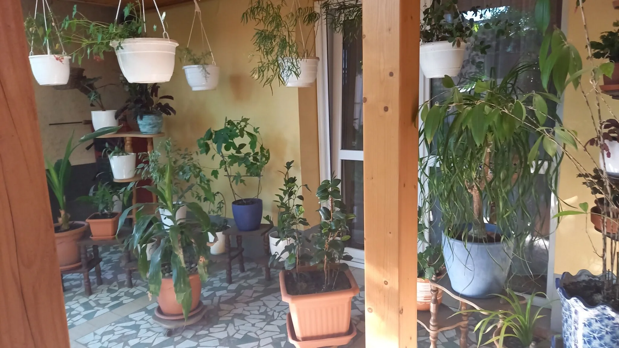 Németh Apartman Tiszafüred - foto 6