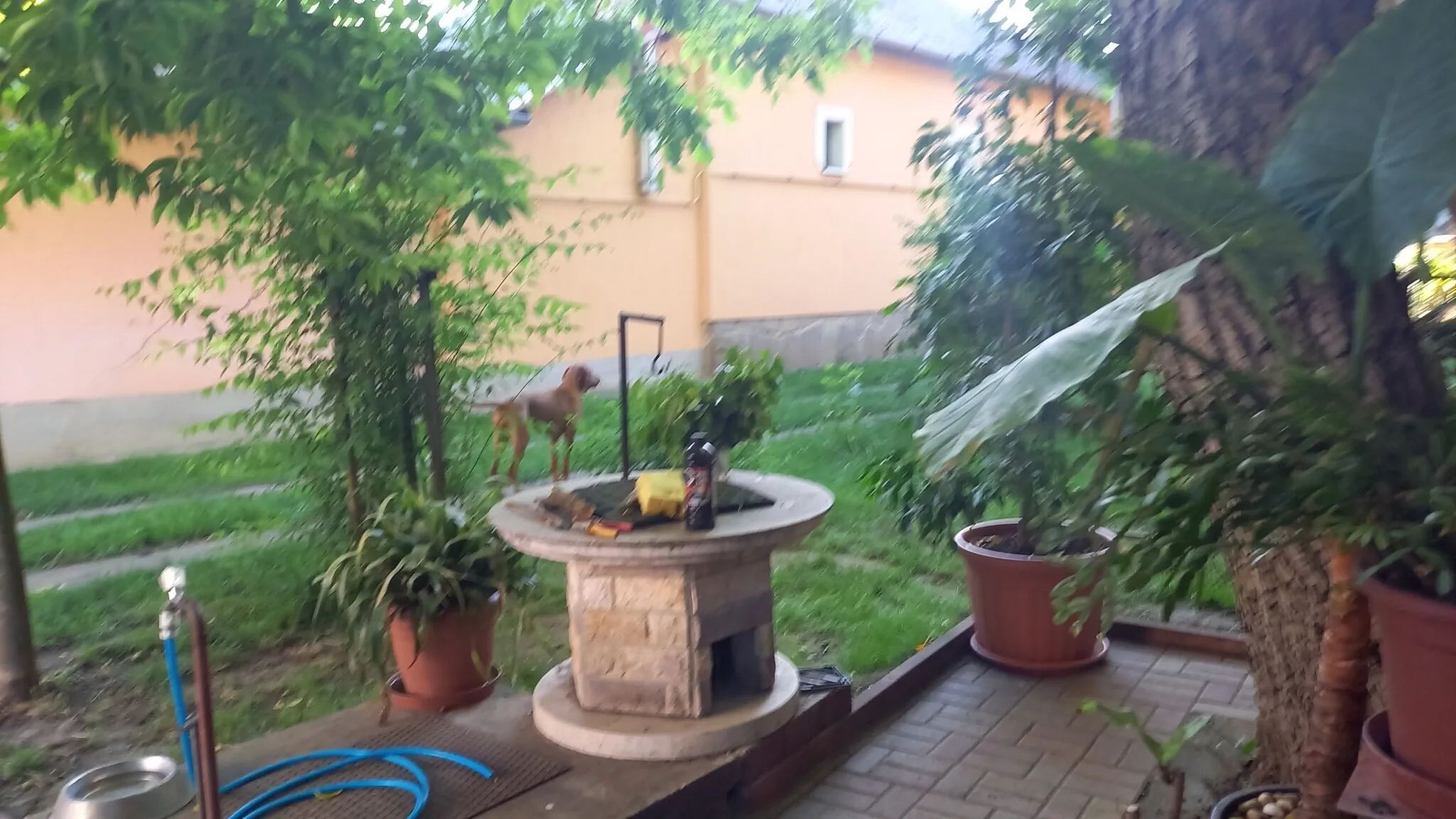 Németh Apartman Tiszafüred - foto 8