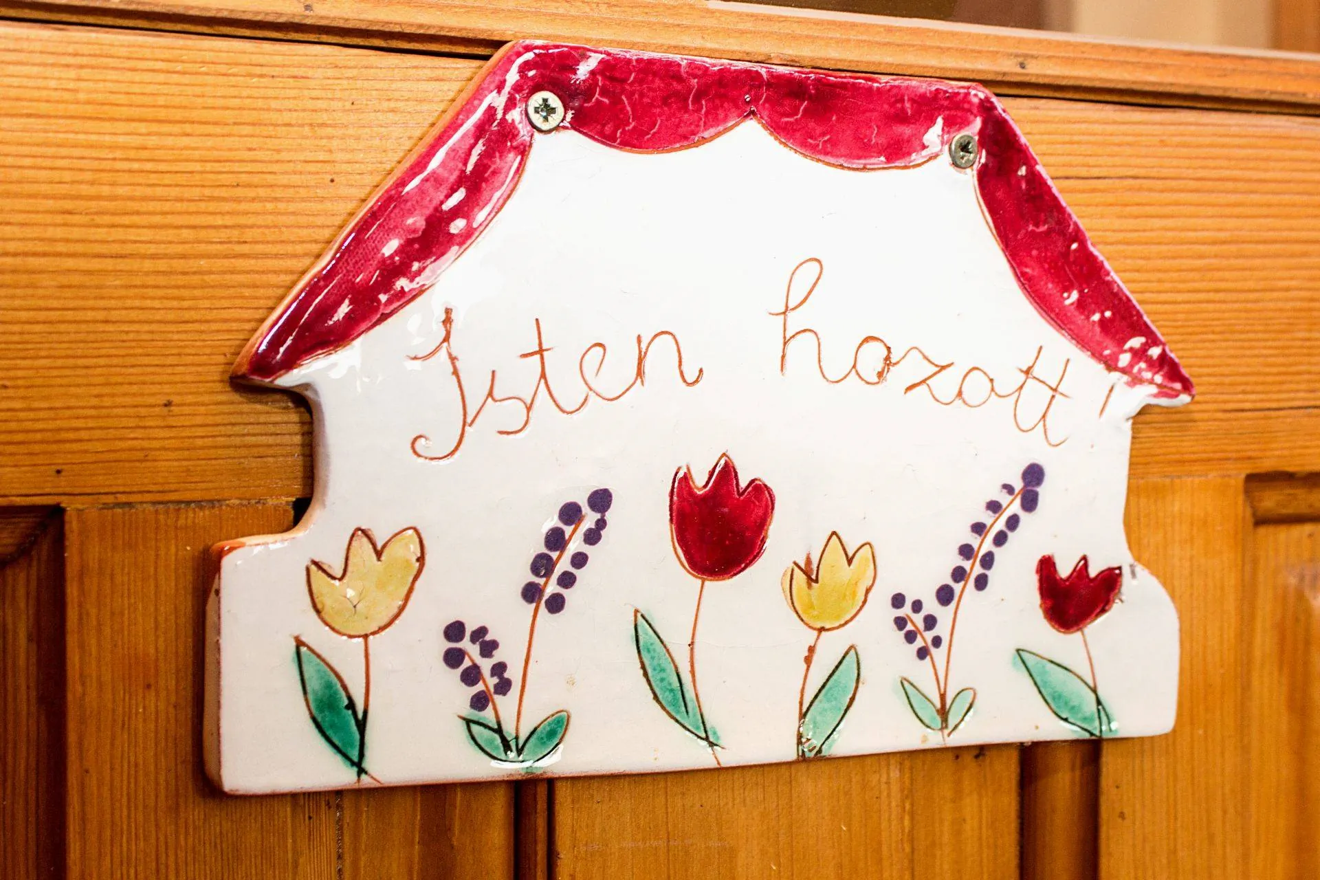 Zempléni Napsugár Vendégház Golop - foto 2
