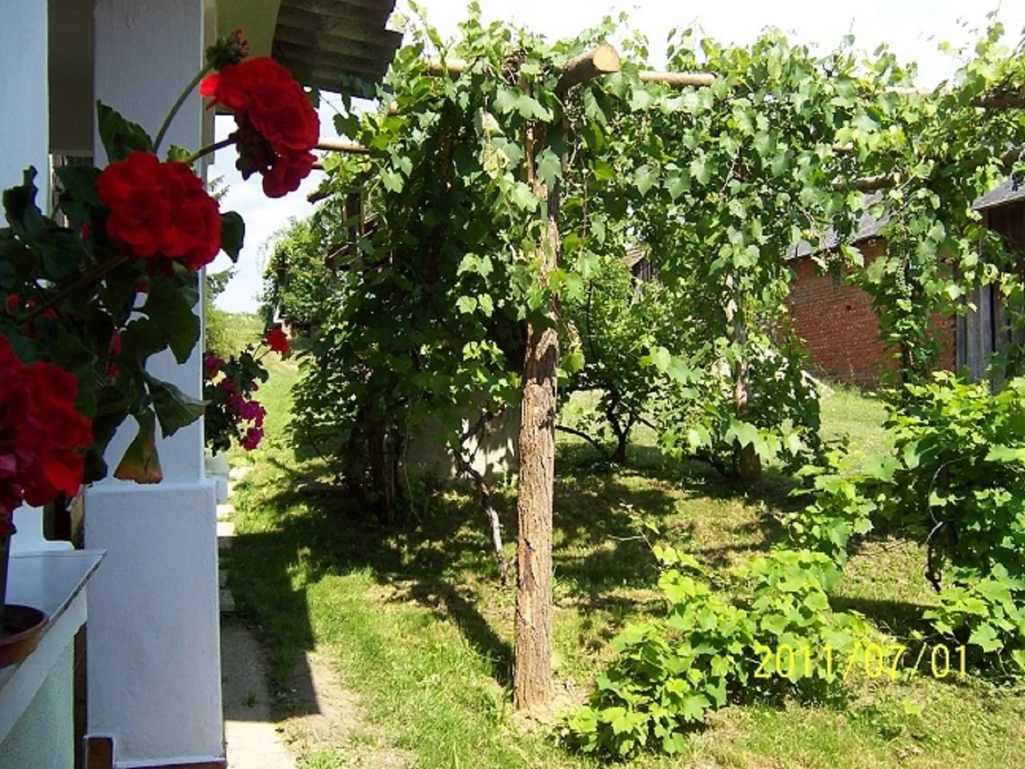 Aranymoha Vendégház Szőce – Szőce, Ungaria