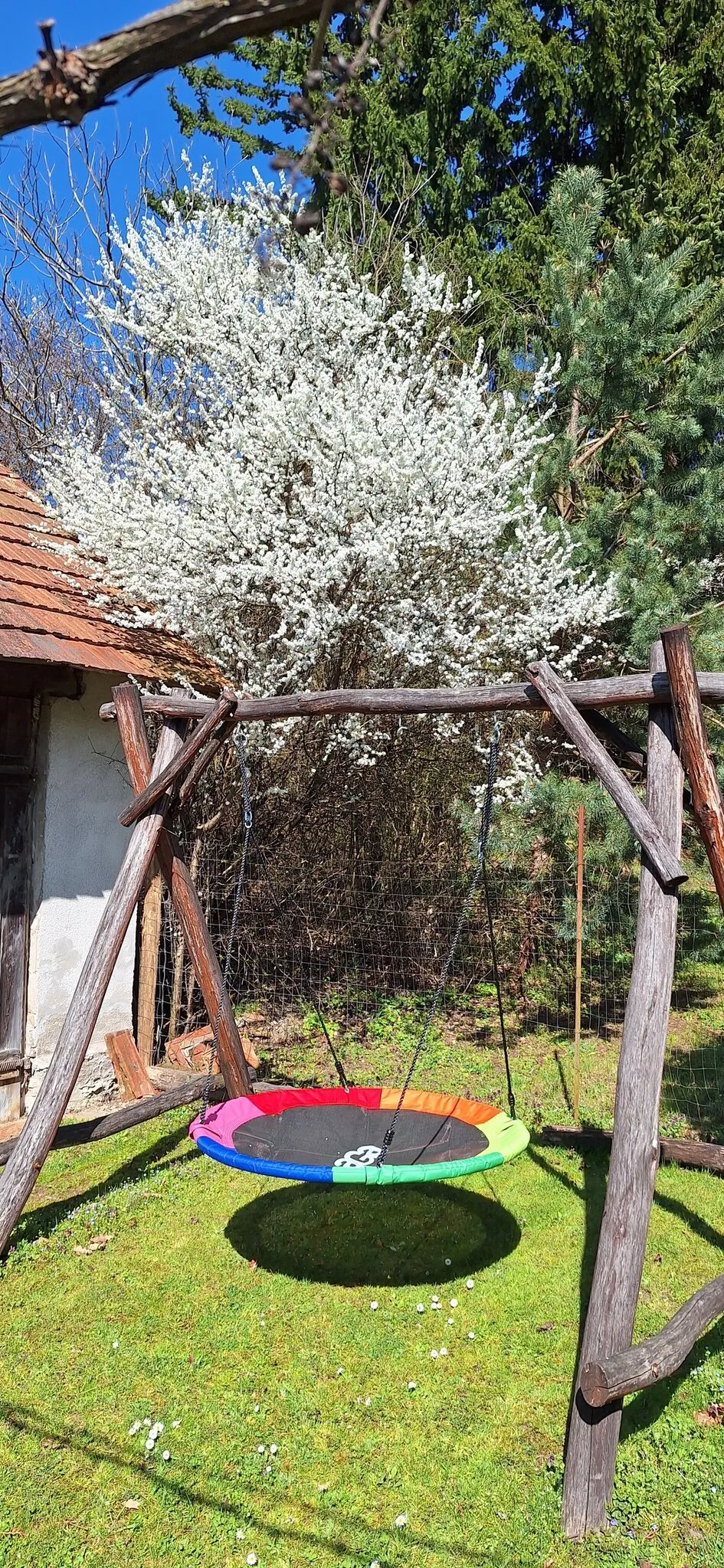 Aranymoha Vendégház Szőce – Szőce, Ungaria