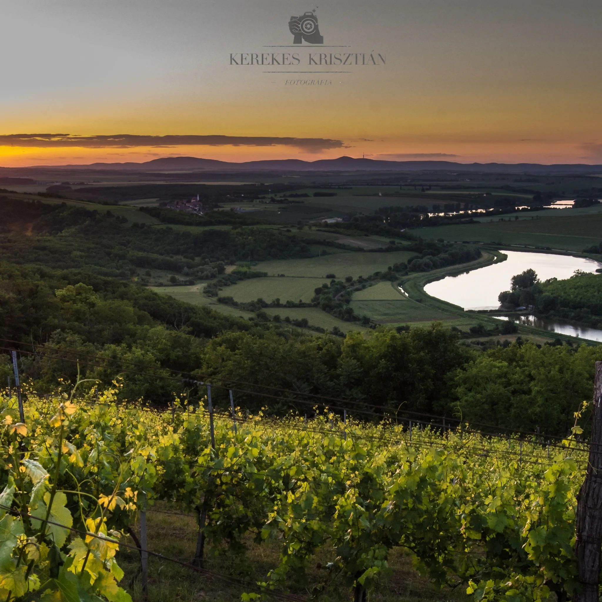 Reitz Vendégház Villány – Villány, Ungaria