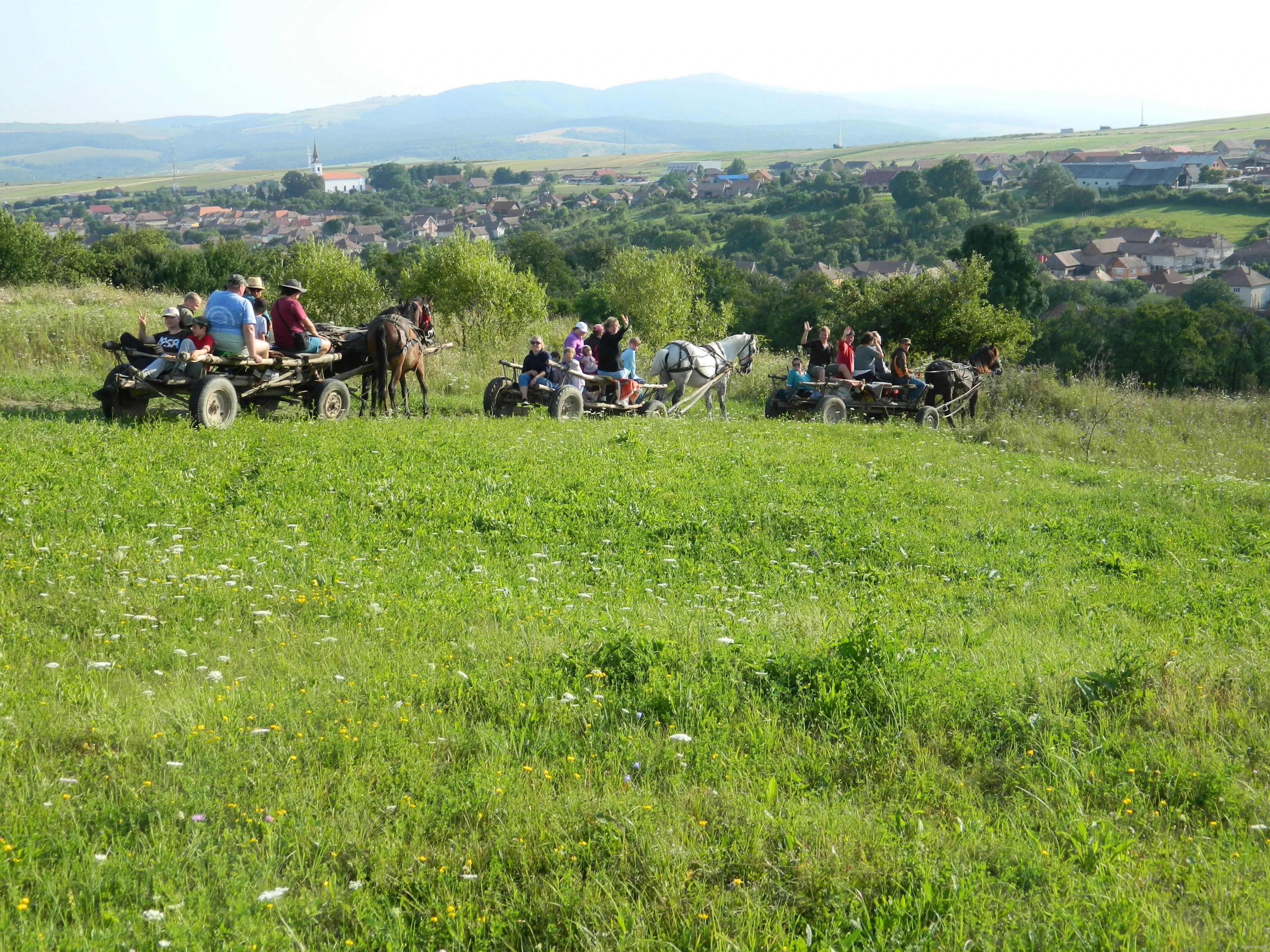 Pensiunea Gyöngyvirág Lupeni – Lupeni, România