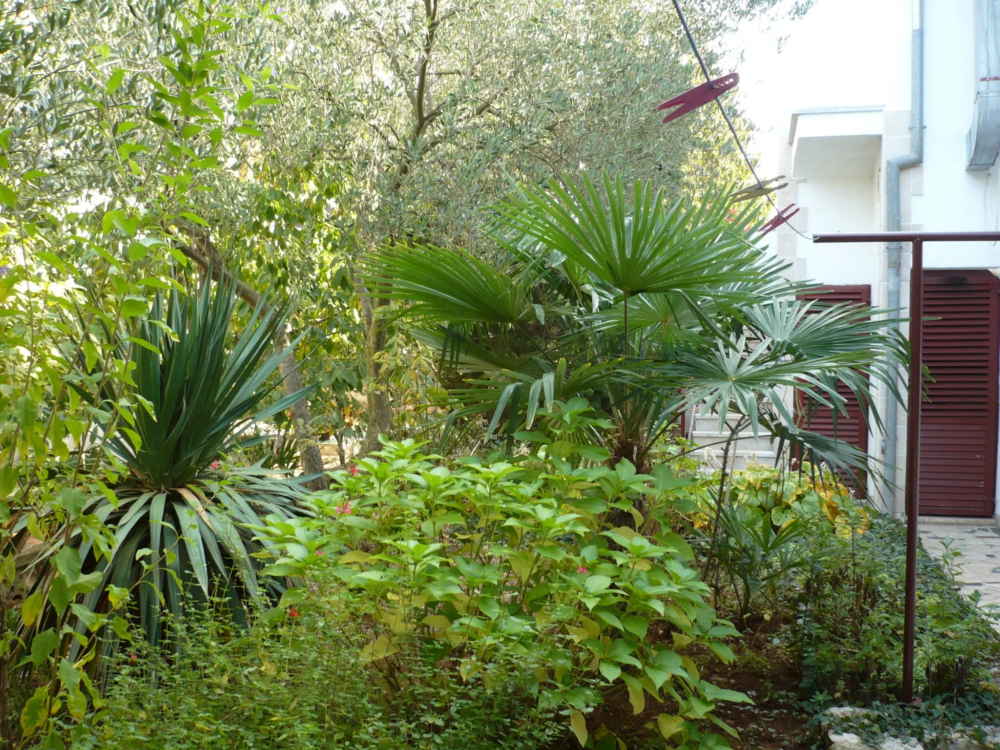 Apartmani Finida Poreč – Poreč, Croația