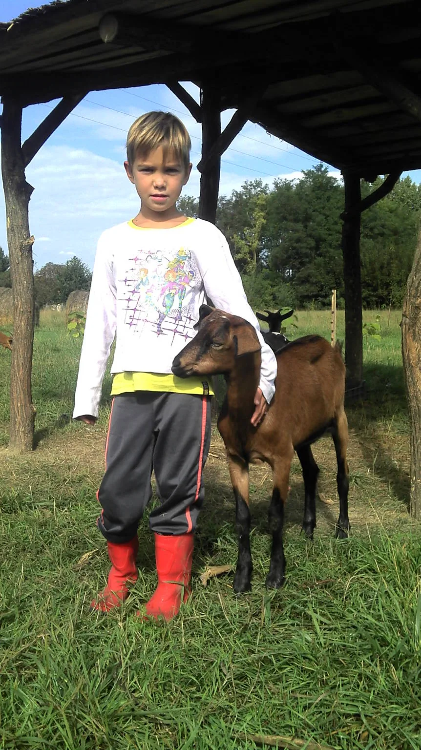 Barátságos Faházak Kehidakustány - foto 5