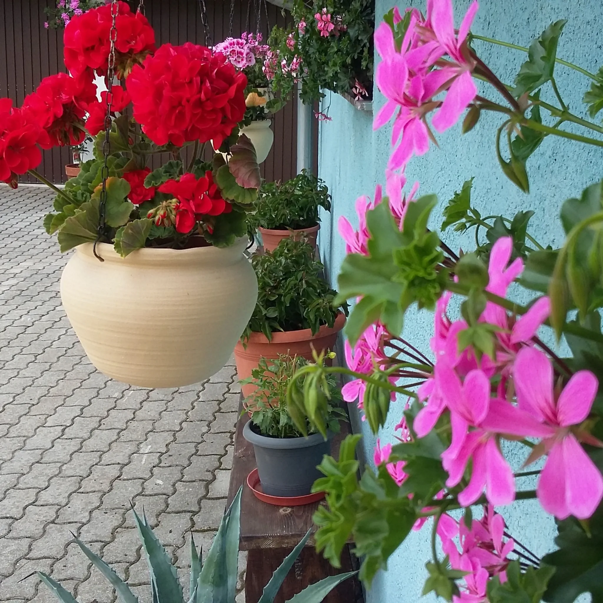 Haus-Erzberg Vordernberg - foto 4