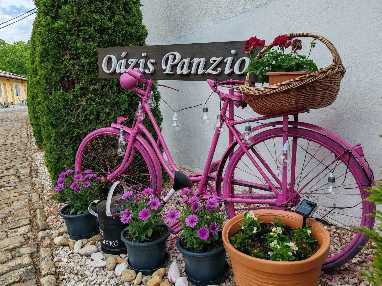 Oázis Panzió Makó – Makó, Maďarsko