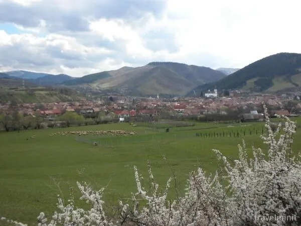 Pensiunea Phoenix Rășinari – Răşinari, Rumunia