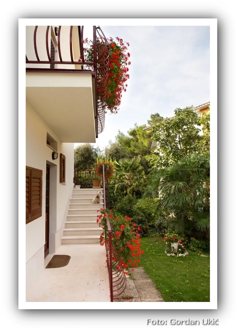 Apartmani SI Rovinj - foto 6
