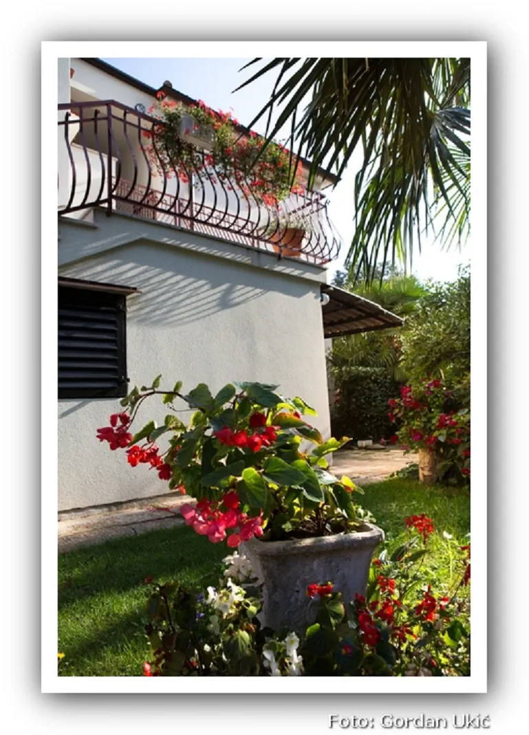 Apartmani SI Rovinj - foto 7