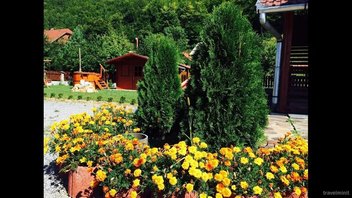 Pensiunea Olimpia Tibod – Tibod, România