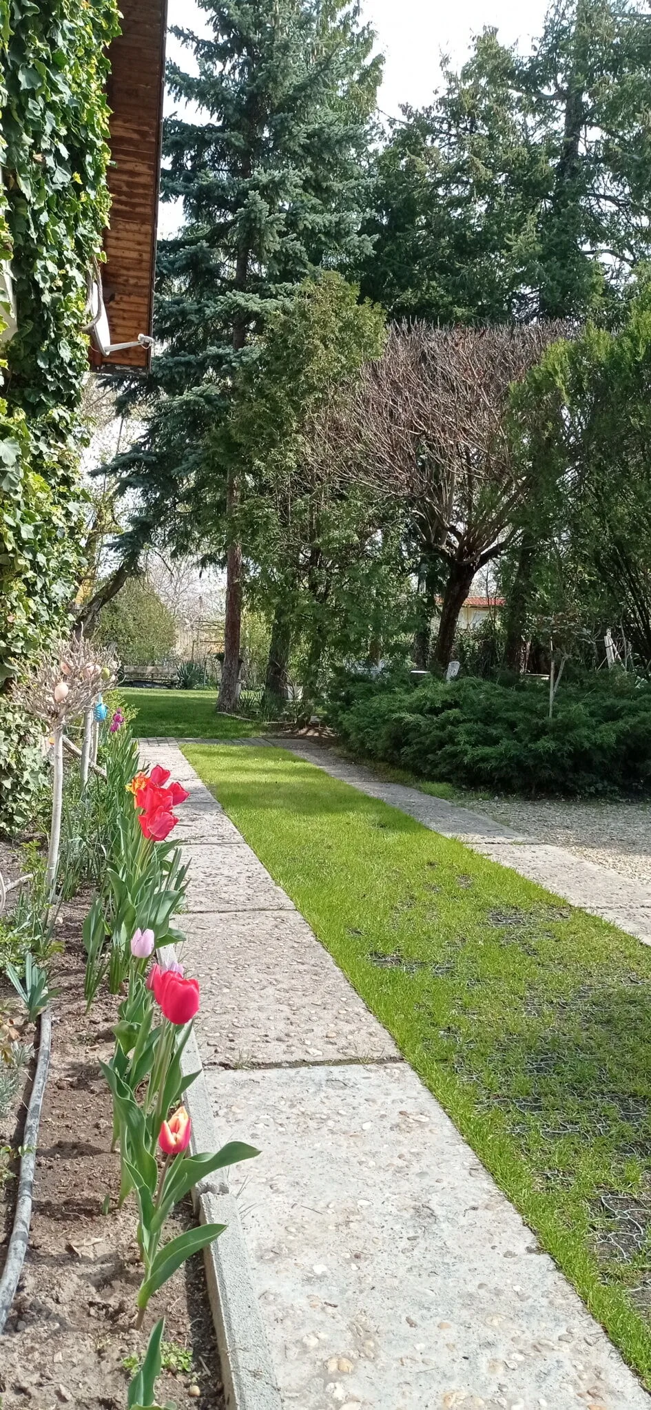 Babó Vendégház Zamárdi - foto 2