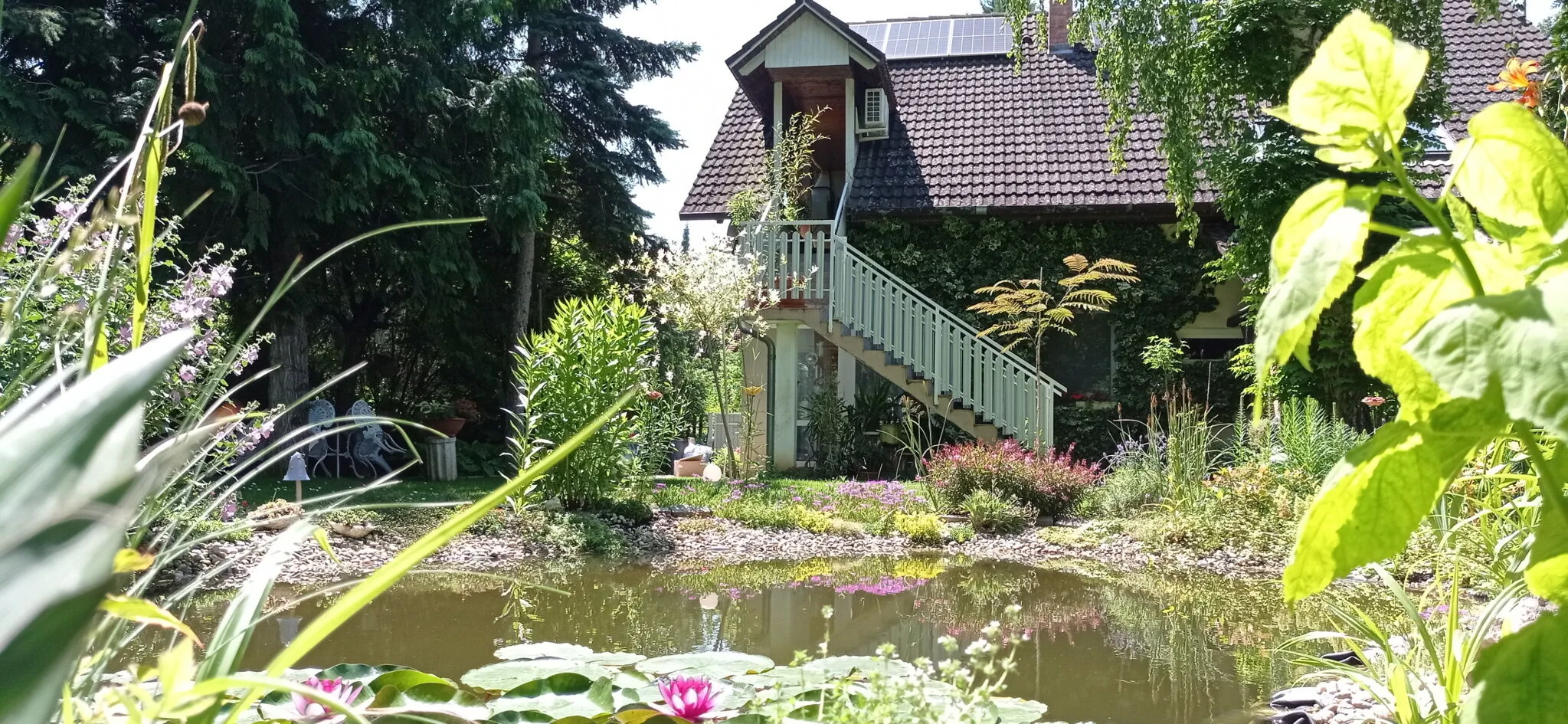 Babó Vendégház Zamárdi - foto 6