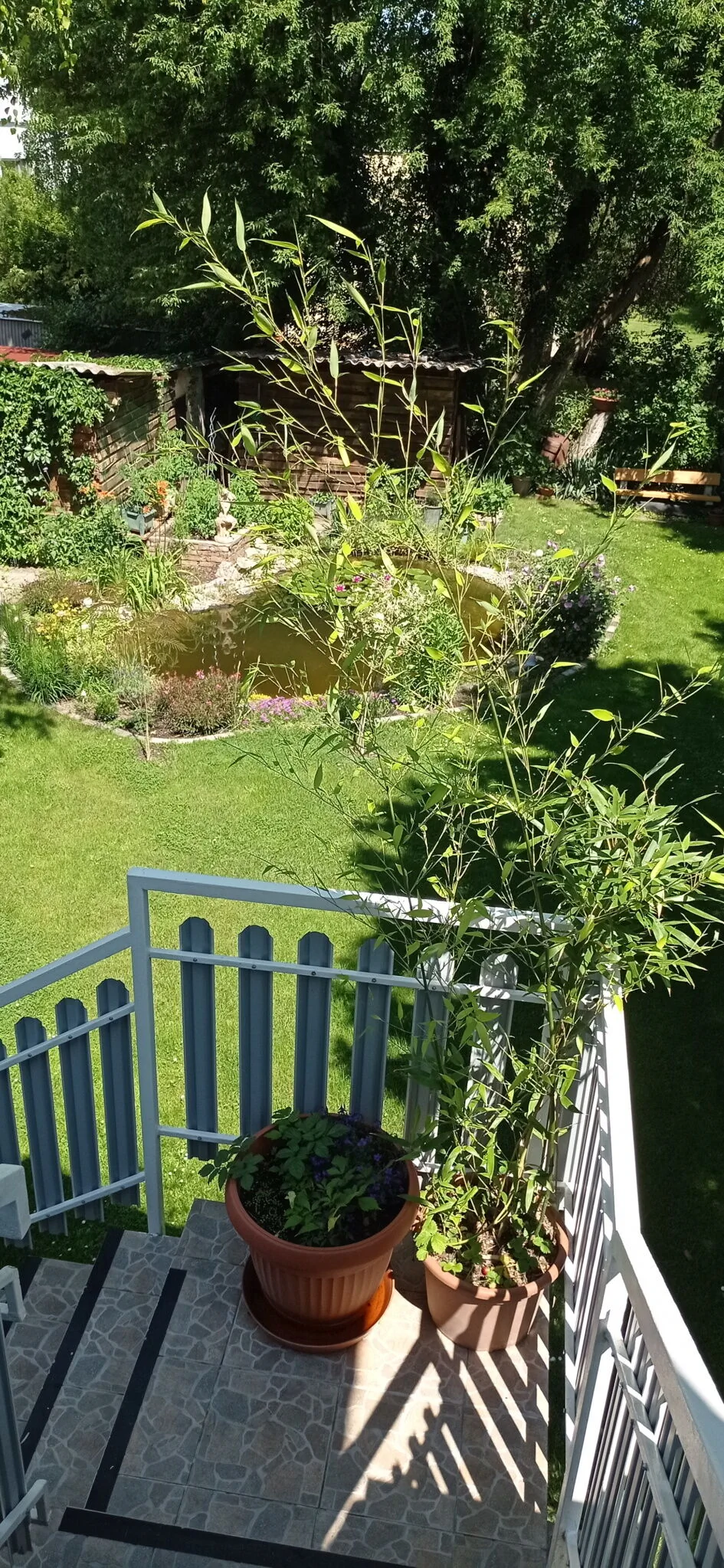 Babó Vendégház Zamárdi - foto 10