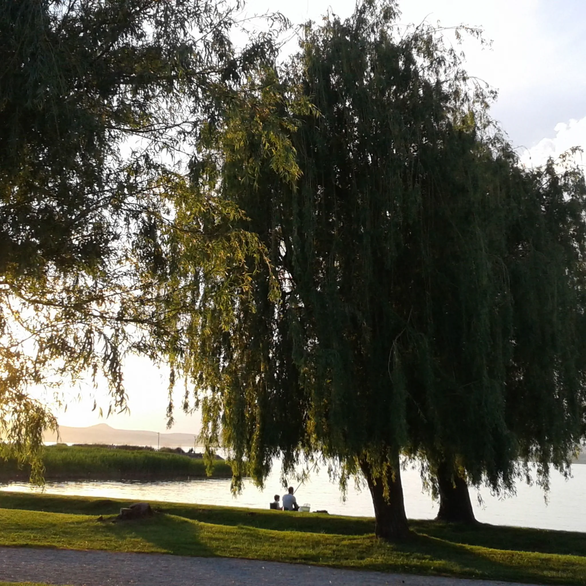 Mórocz Vendégház Balatonboglár – Balatonboglár, Węgry