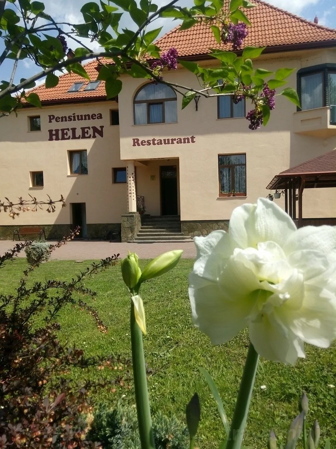Helen Rasnov Pensiunea Helen Râșnov - Travelminit.ro