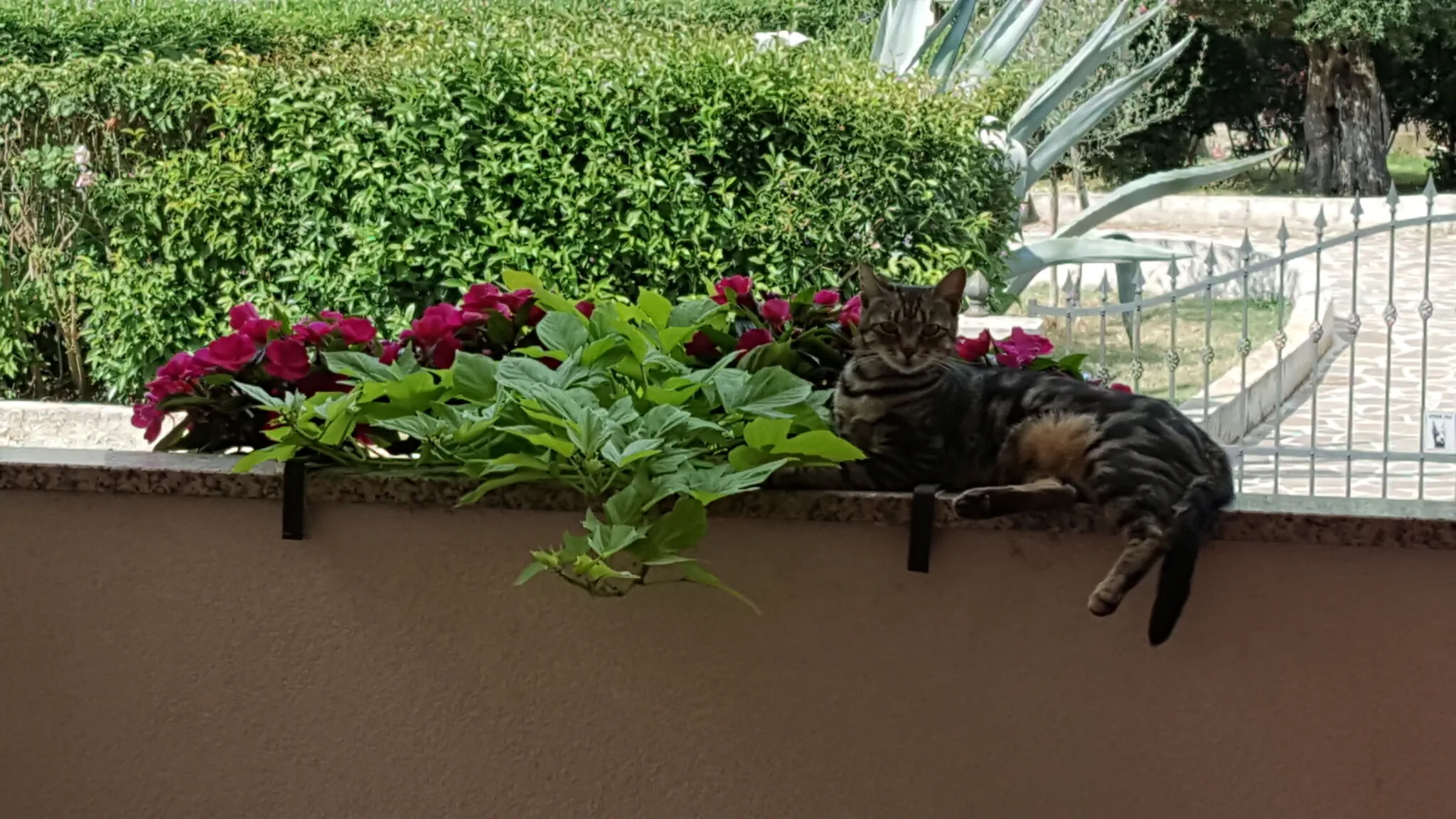 Apartmani Toni Rovinj - foto 7