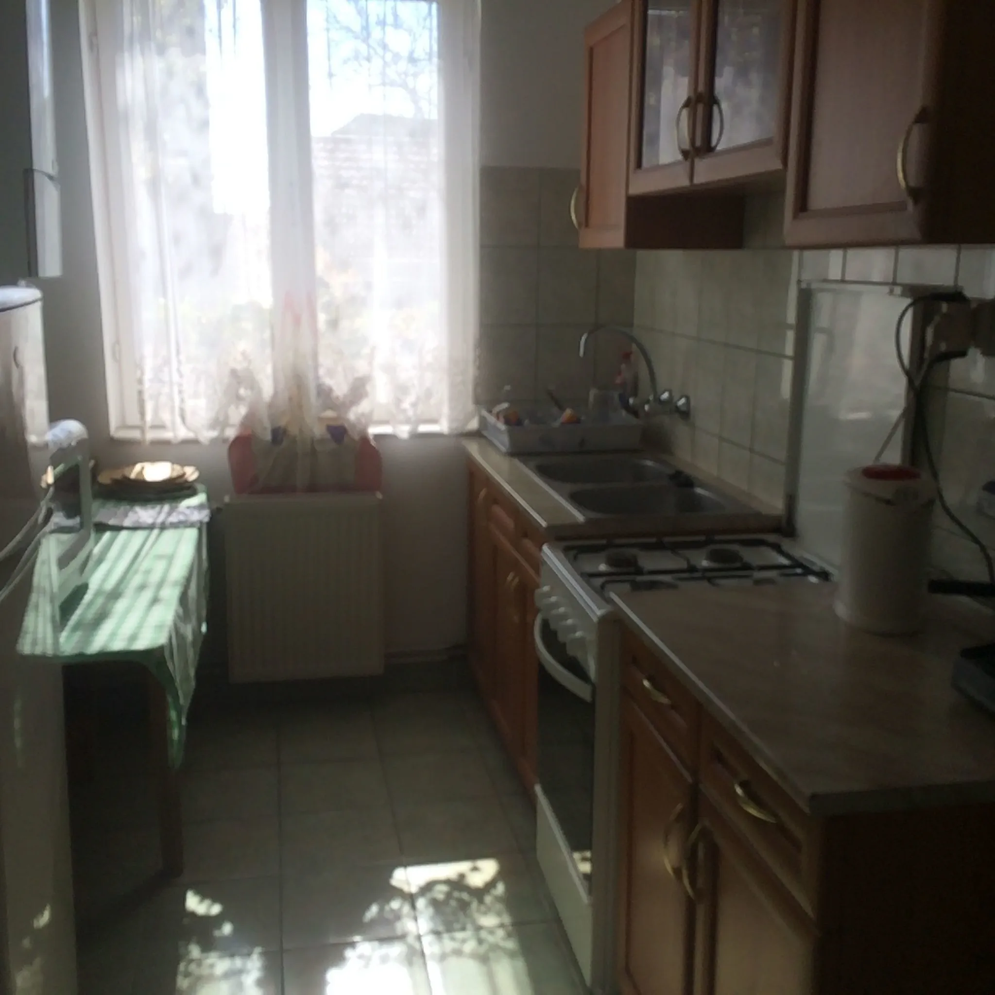 Homoky Család Pincészete és Vendégháza Tállya - foto 8