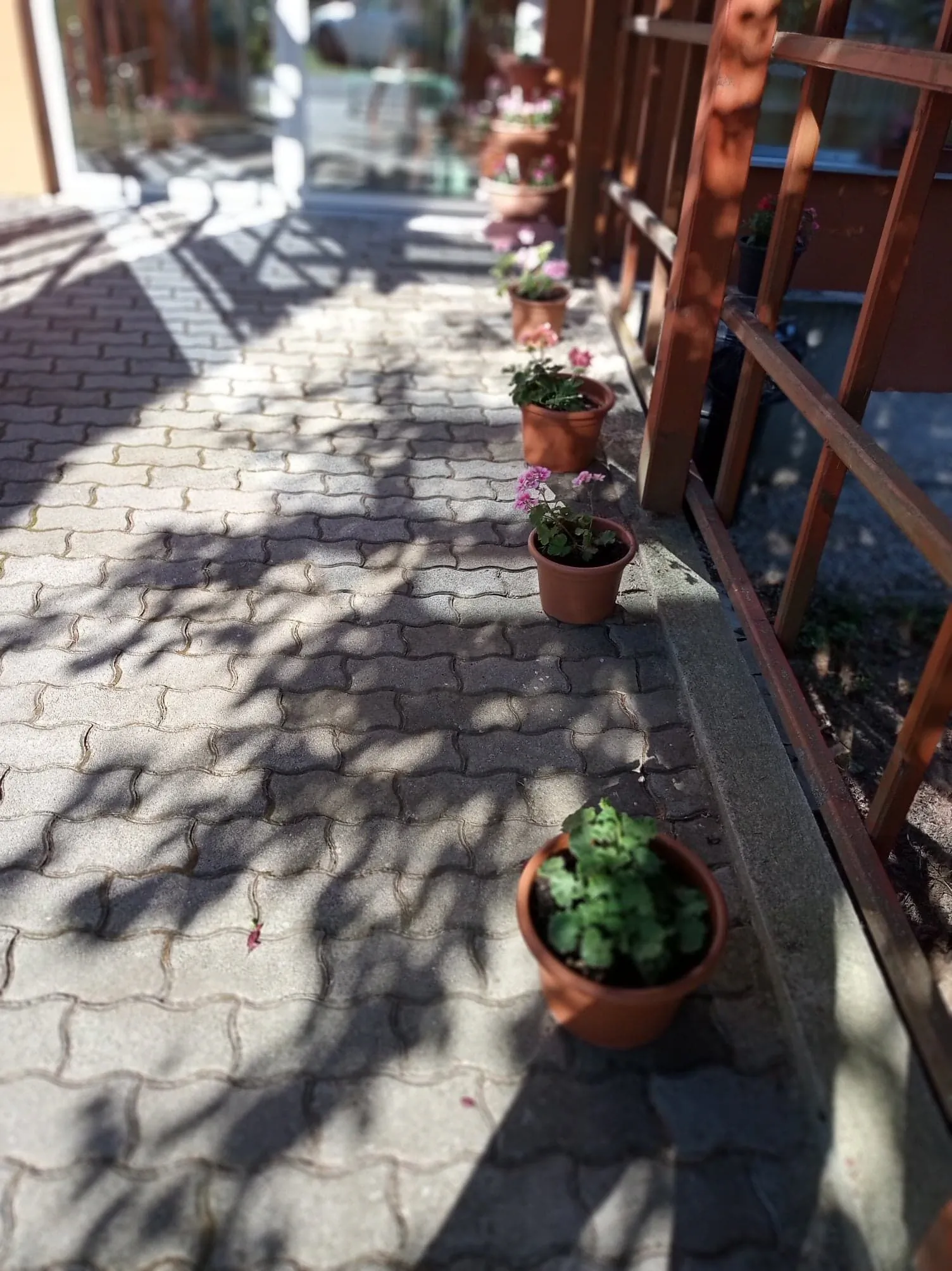 Pergola Panzió*** Balatonföldvár – Balatonföldvár, Ungaria