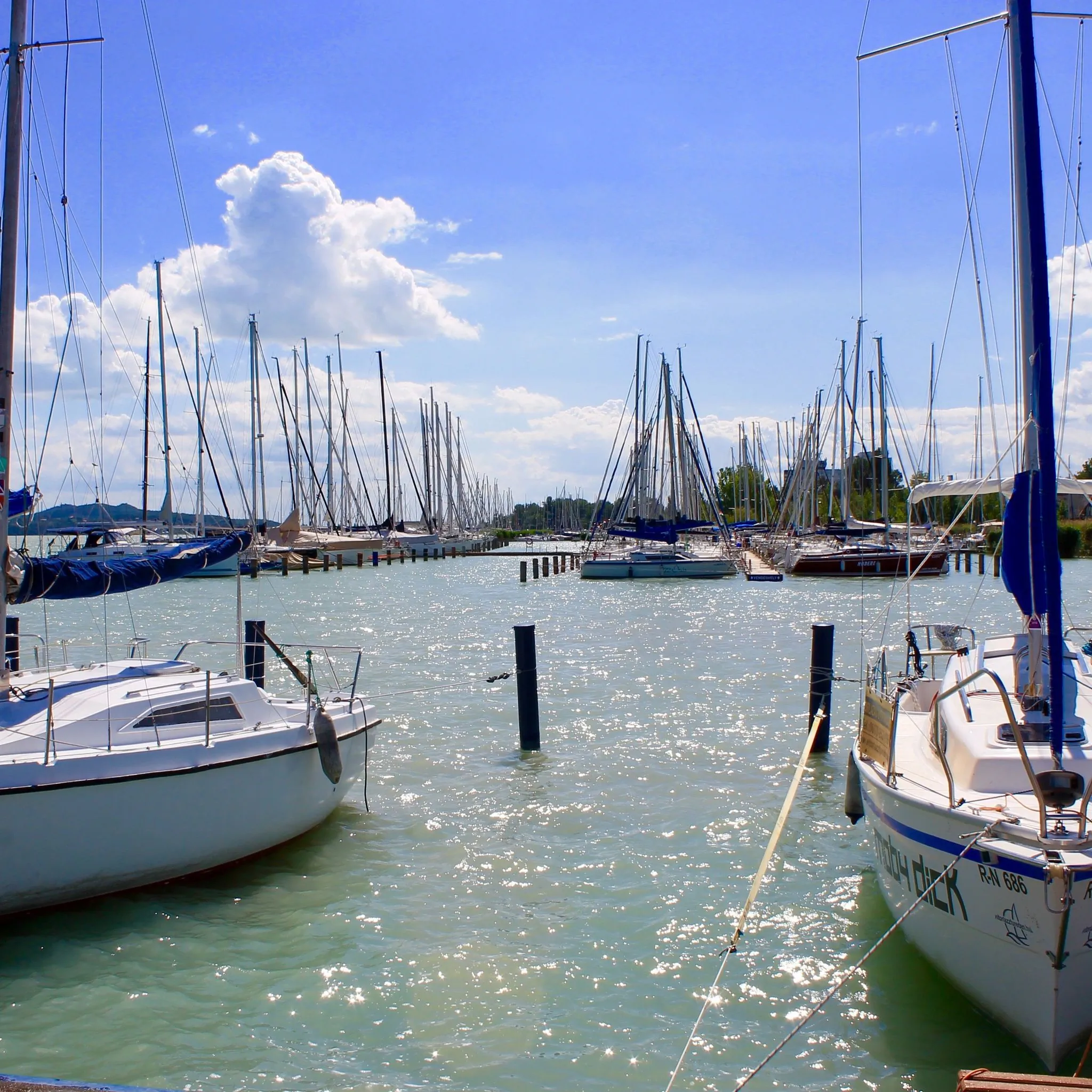 Rózsaház Balatonfüred - foto 10