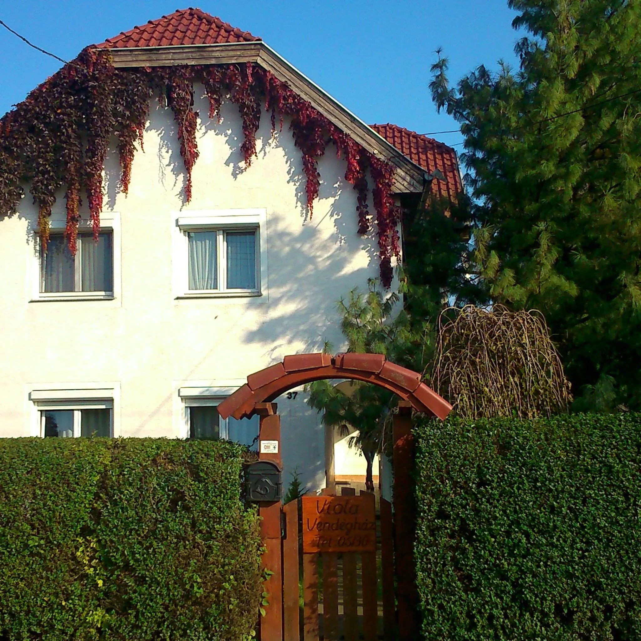 Viola Vendégház Kehidakustány - foto 6