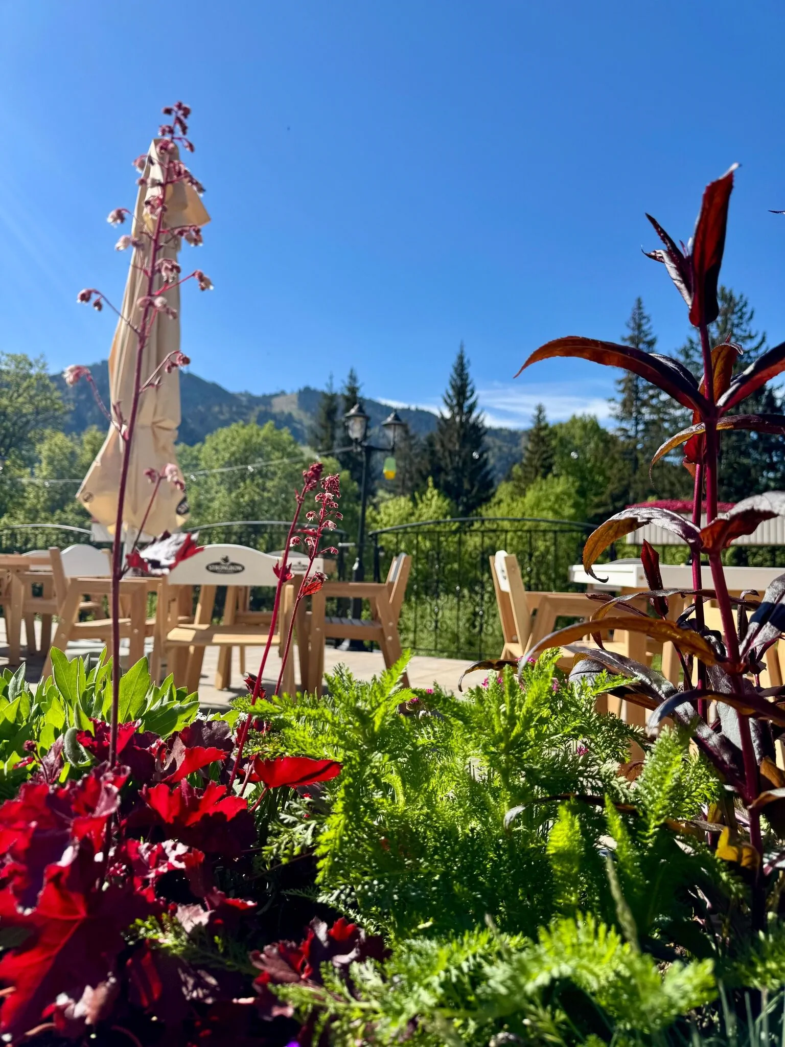Hotel Piatra Mare Poiana Brașov – Poiana Brasov, Rumunia