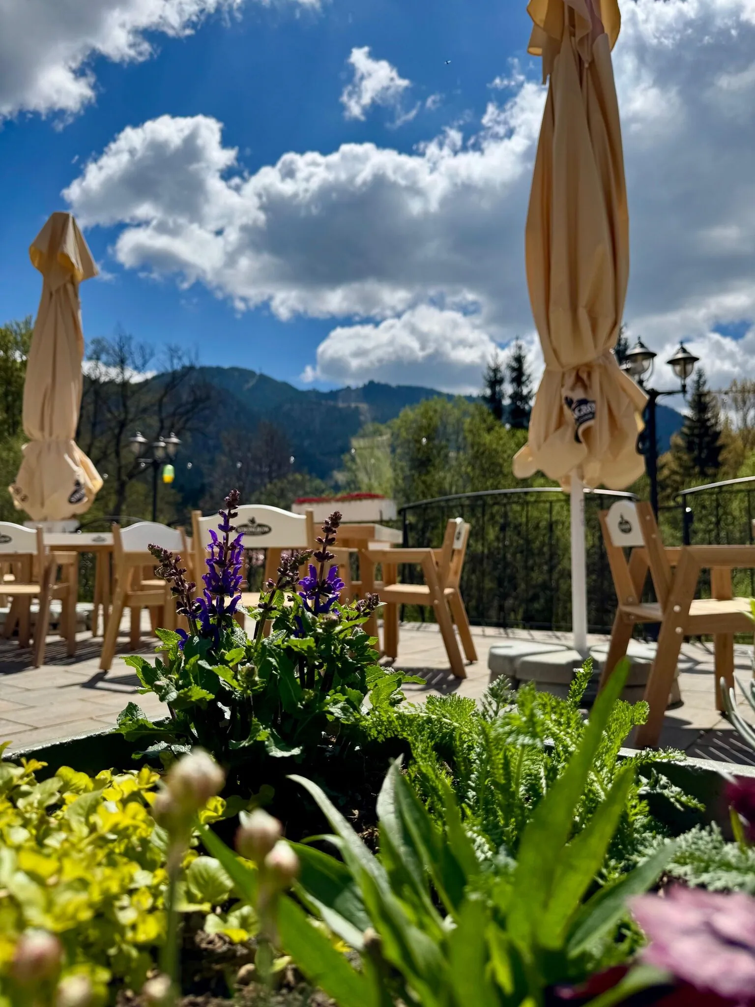 Hotel Piatra Mare Poiana Brașov – Poiana Brasov, Rumunia