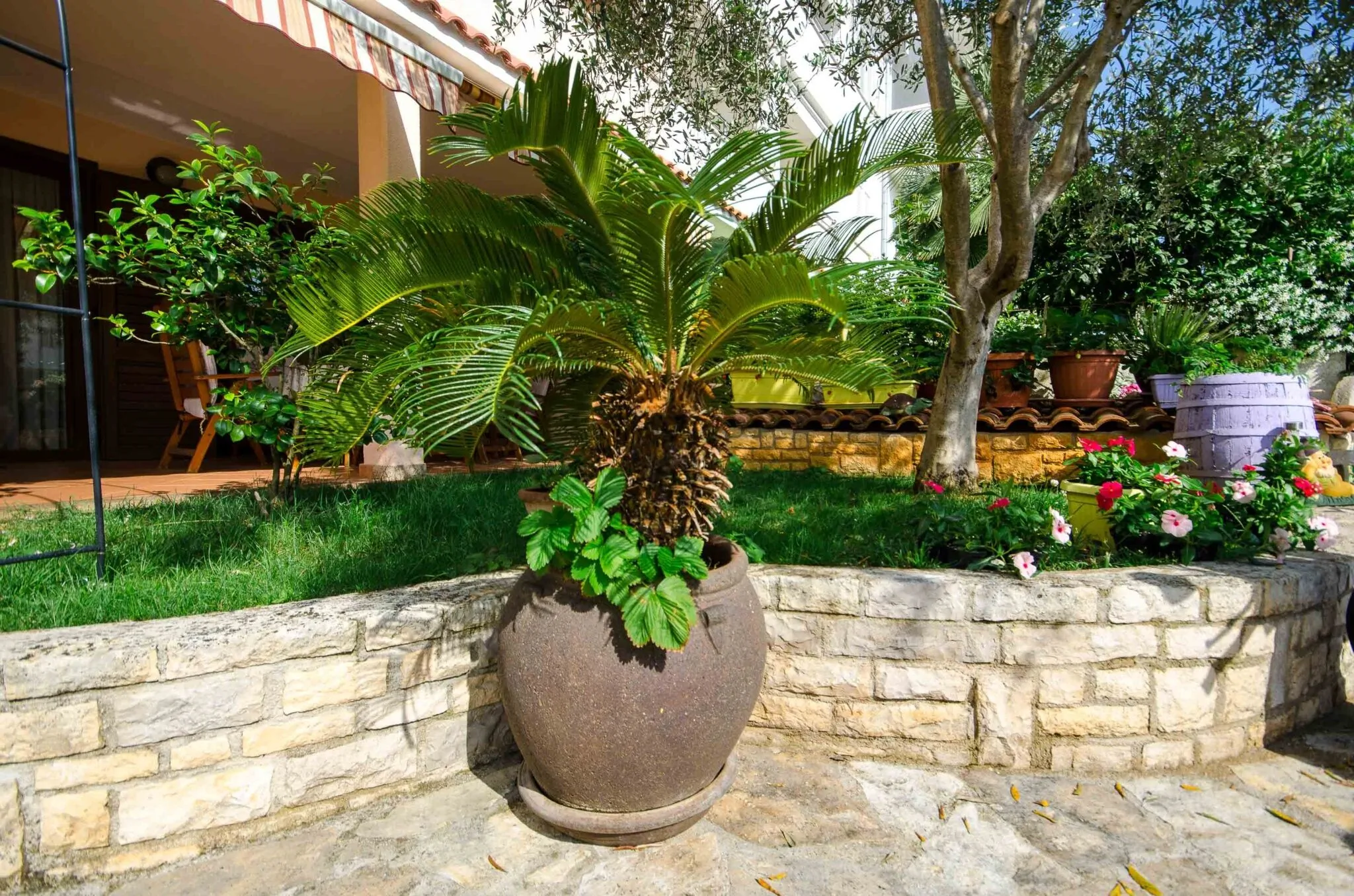 Apartmani Nimčević Rovinj - foto 6