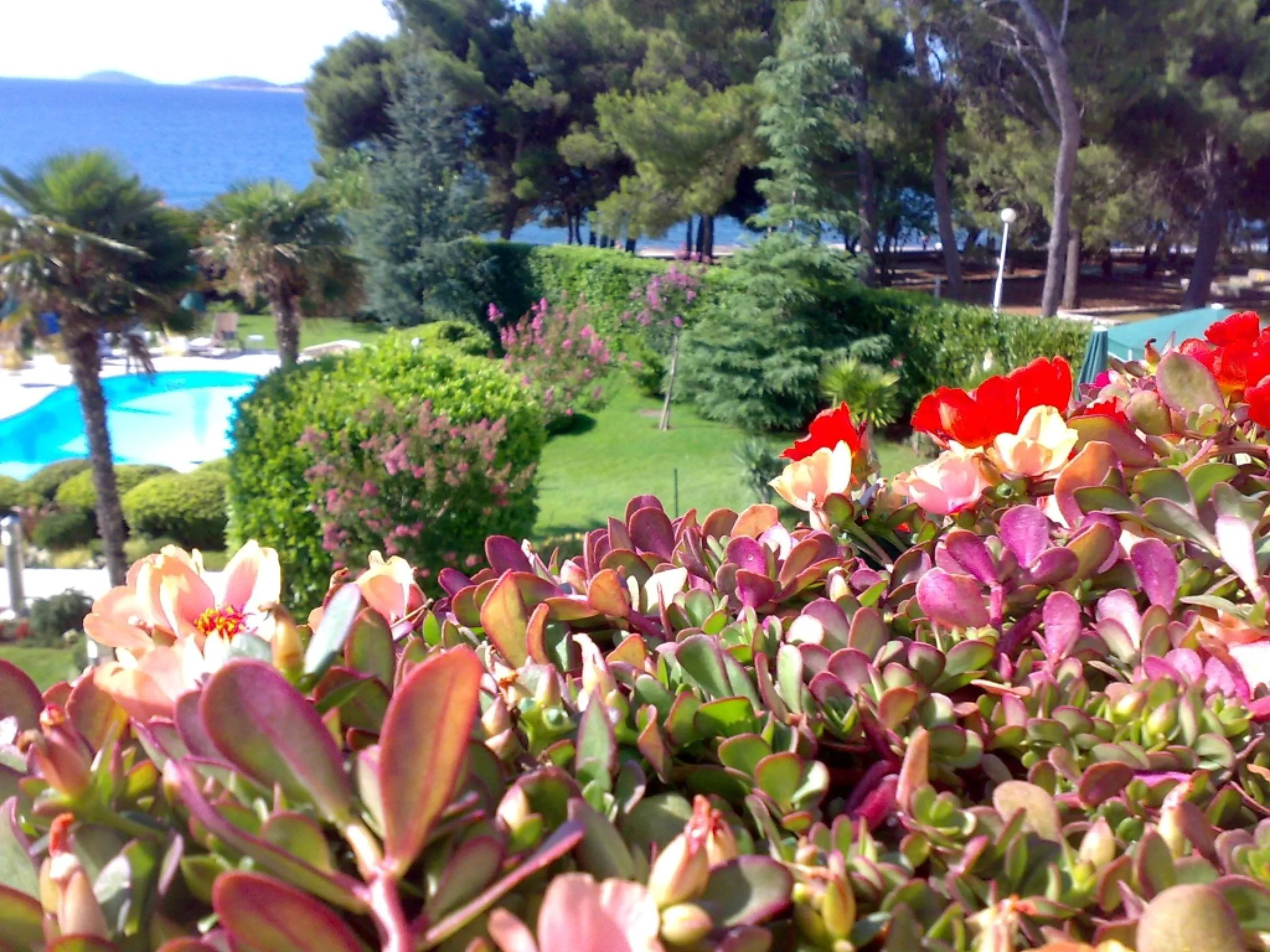 Hotel Villa Radin Vodice – Vodice, Croația