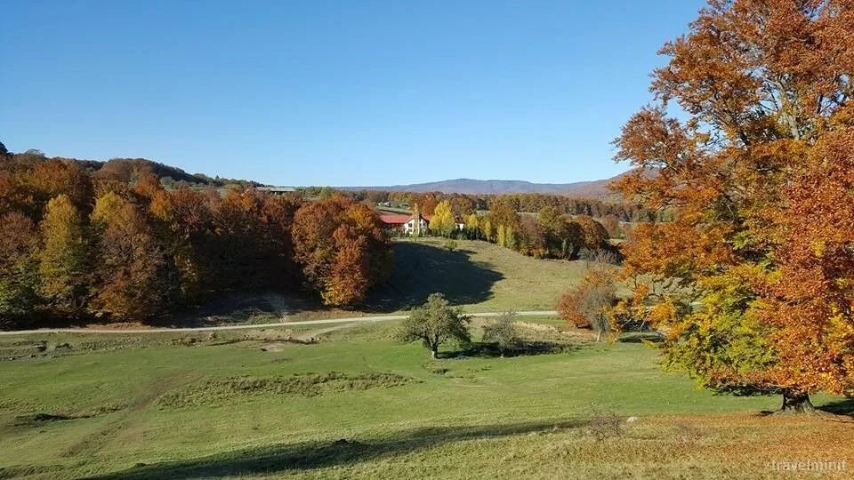 Pensiunea Isuica Sovata – Sovata, România