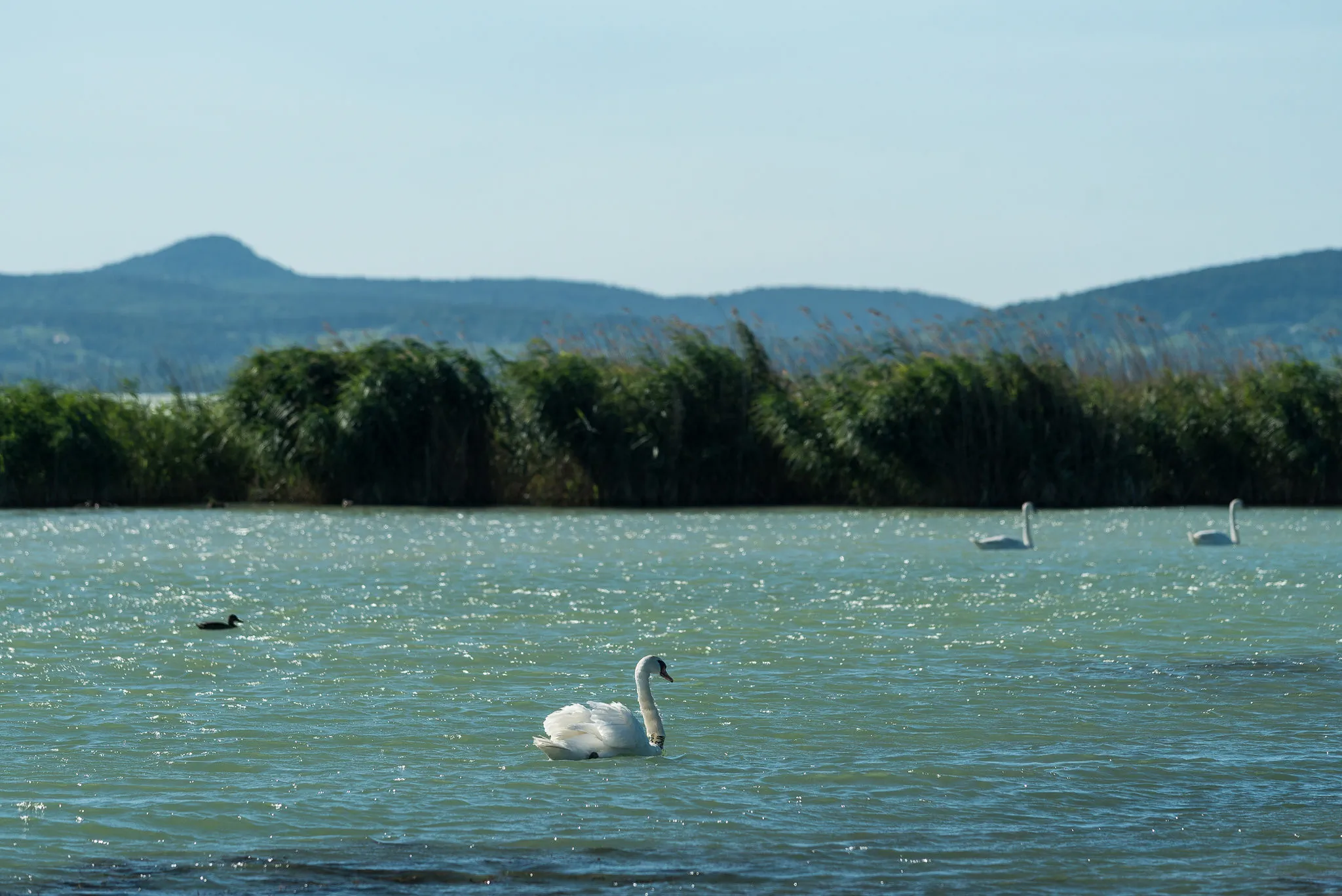 BBB Apartman I. Balatonboglár – Balatonboglár, Ungaria