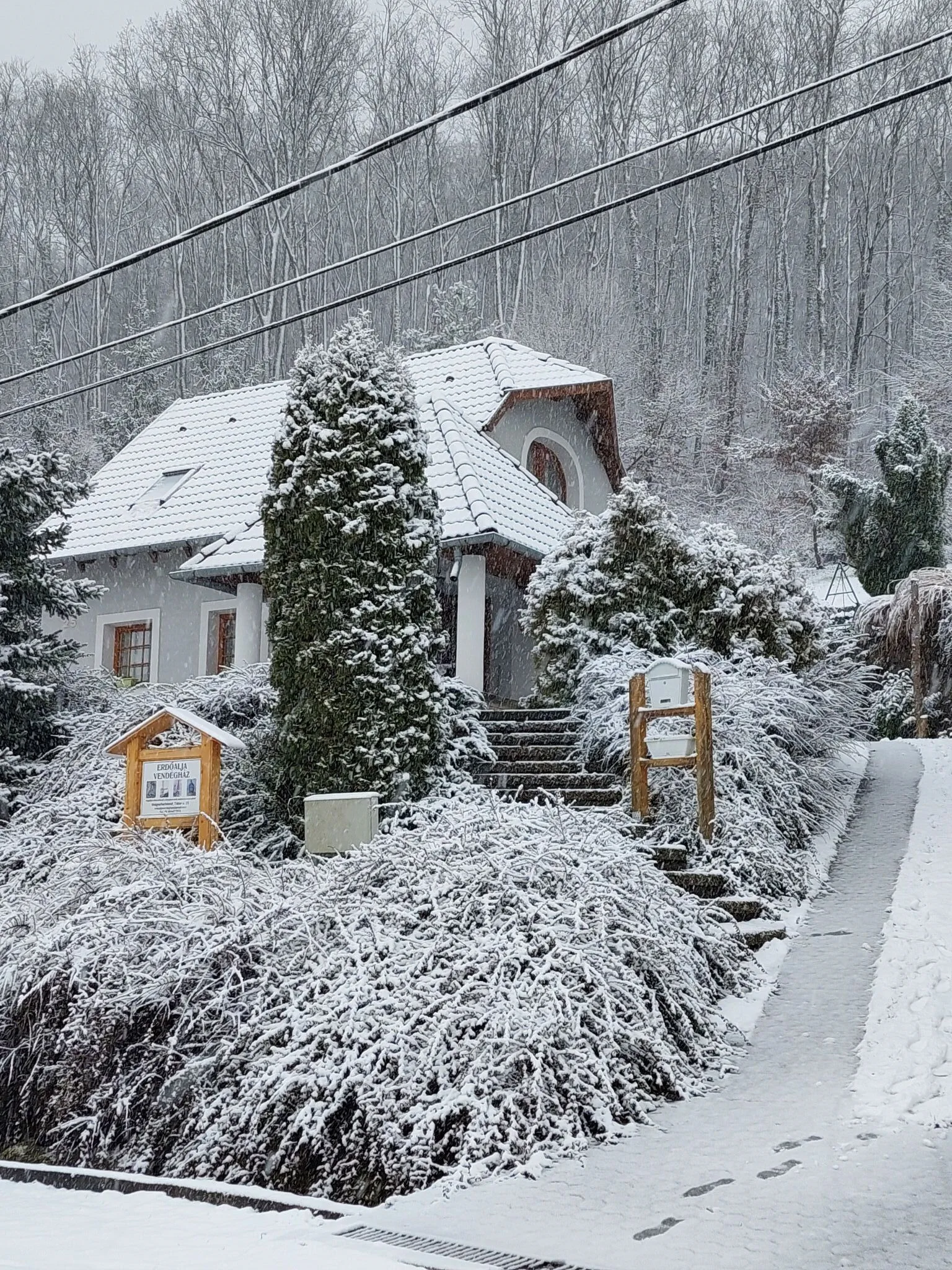 Erdőalja Vendégház Magyarhertelend – Magyarhertelend, Ungaria