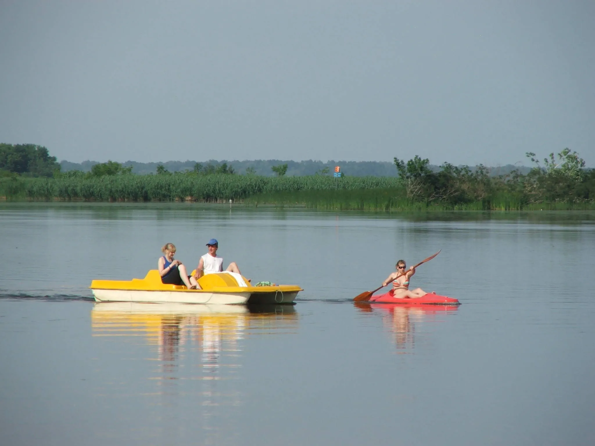 Neptun Apartman Tisza-tó Újlőrincfalva - foto 8
