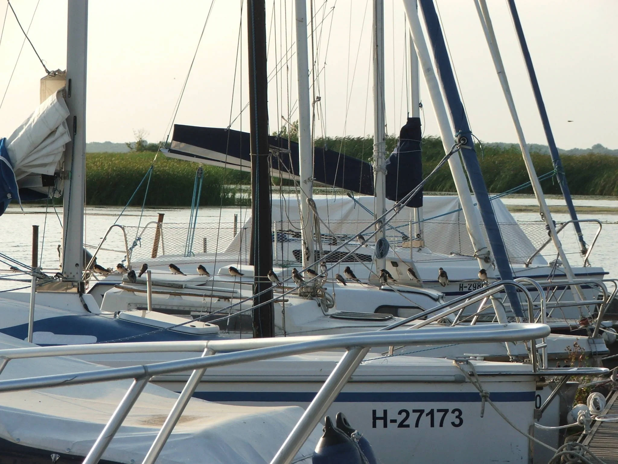 Neptun Apartman Tisza-tó Újlőrincfalva - foto 10