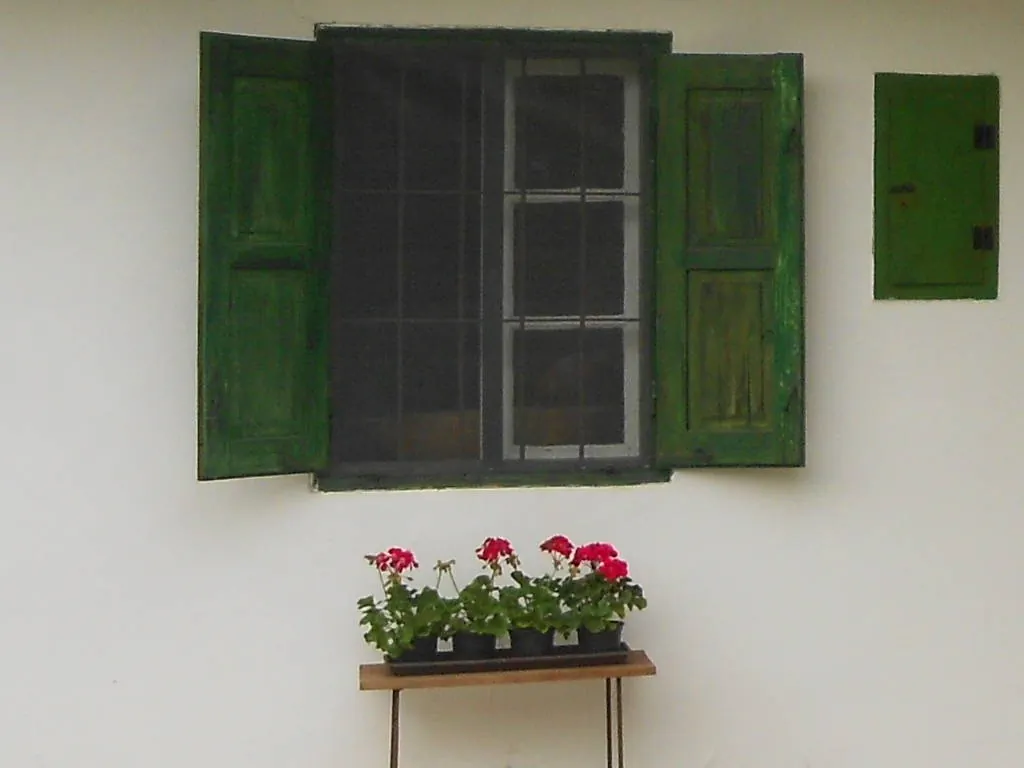 Csend Villa Igal - foto 1