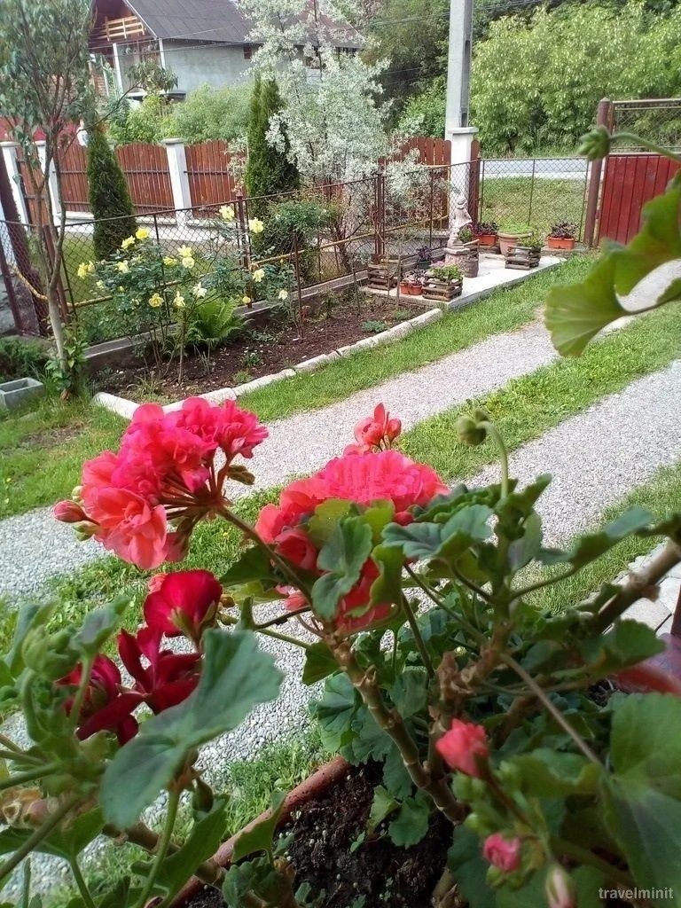 Casa Hajdu Sovata – Sovata, Rumunsko