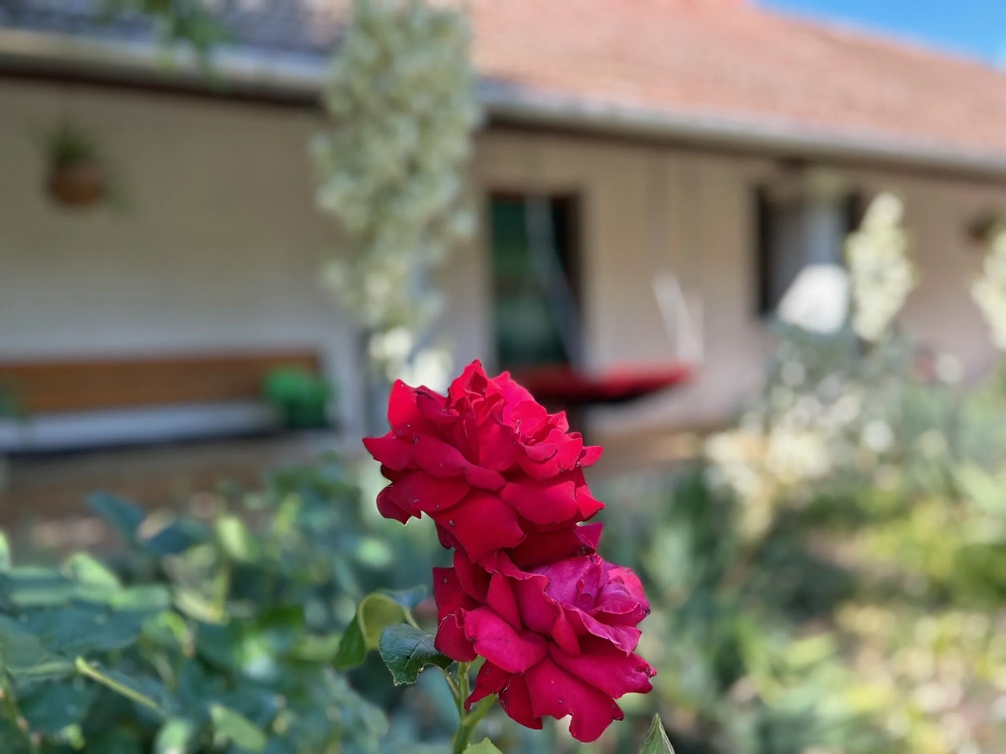 Pihenő Vendégház Abádszalók - foto 5