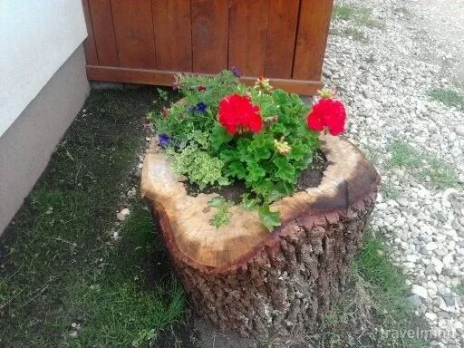 Pensiunea Rita Rimetea – Rimetea, România