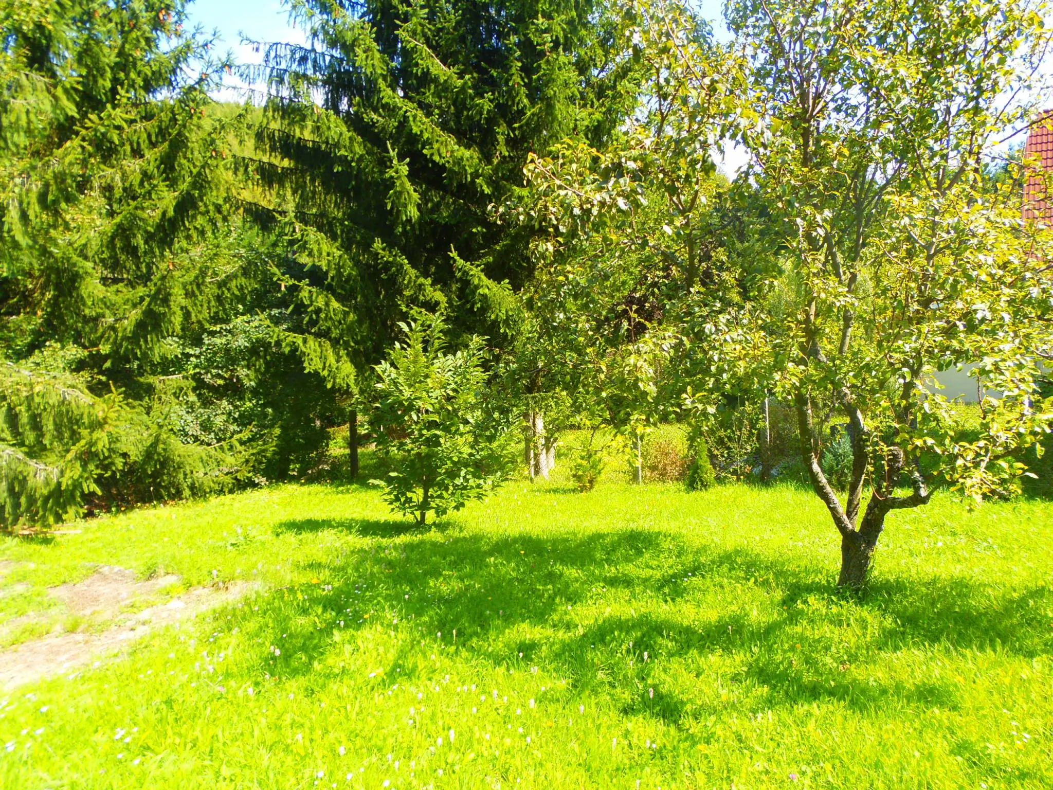 Ormosi Ház Parádsasvár - foto 6