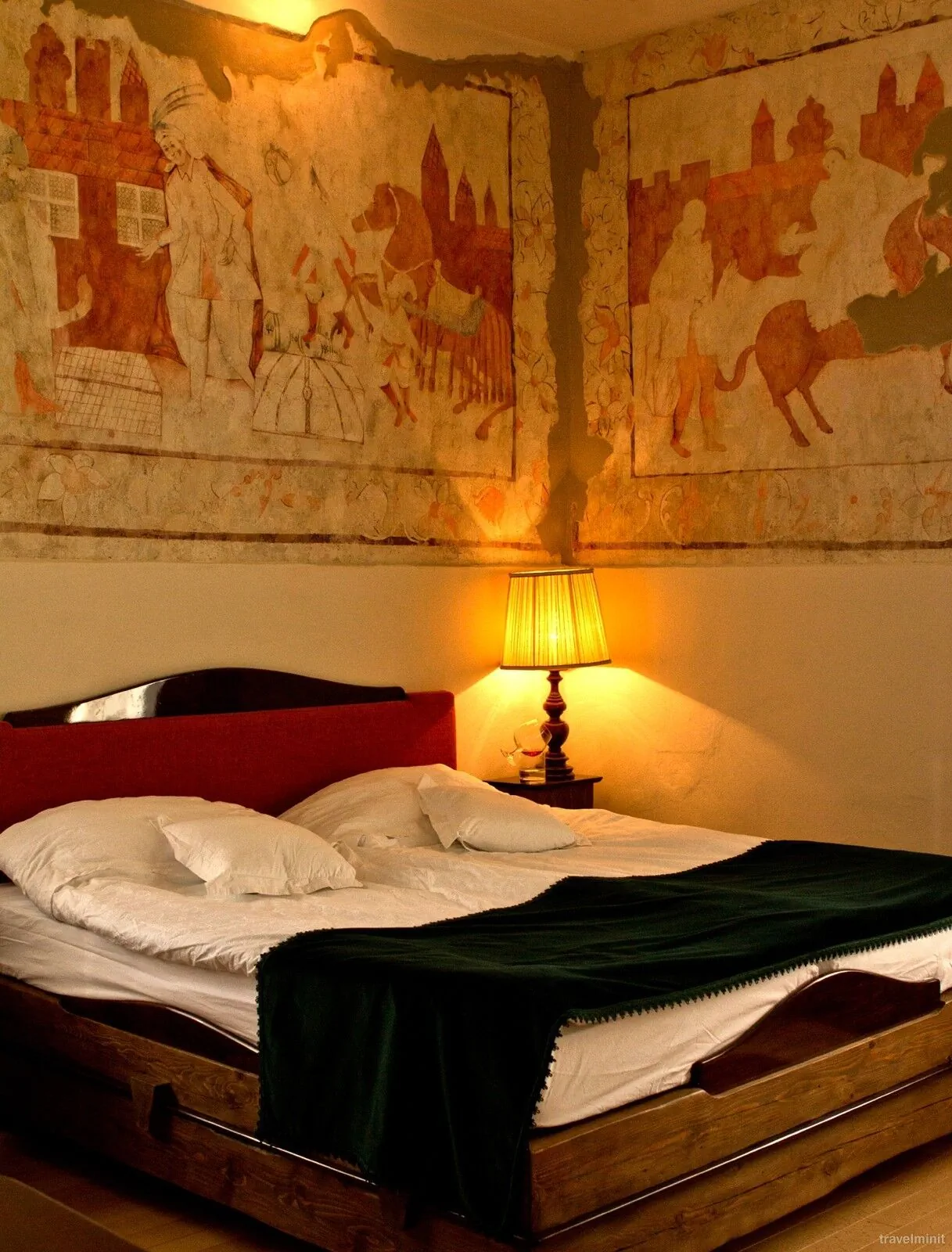 Castel Hotel Daniel Tălișoara - foto 7